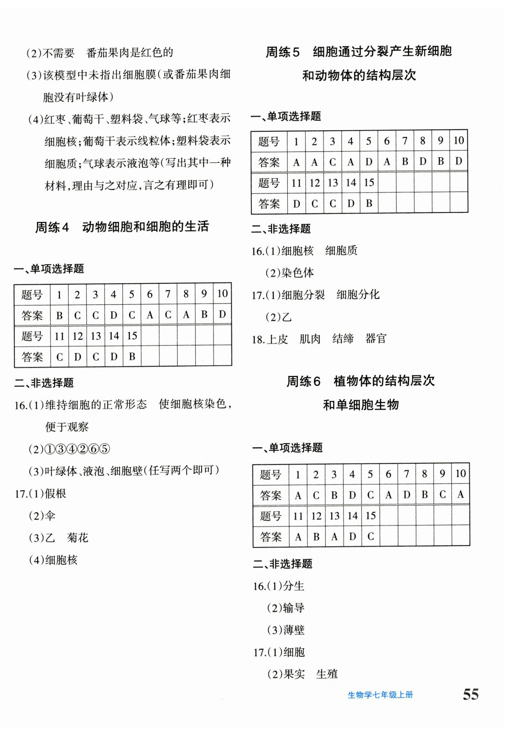 2024年優(yōu)學1+1評價與測試七年級生物上冊人教版 第2頁