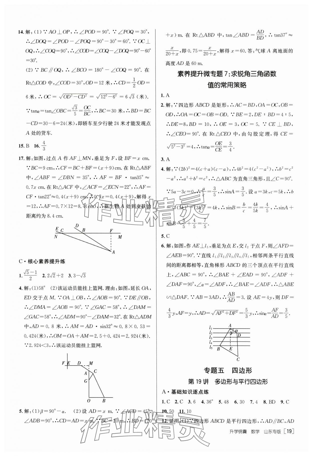 2024年升学锦囊数学山东专版 第19页