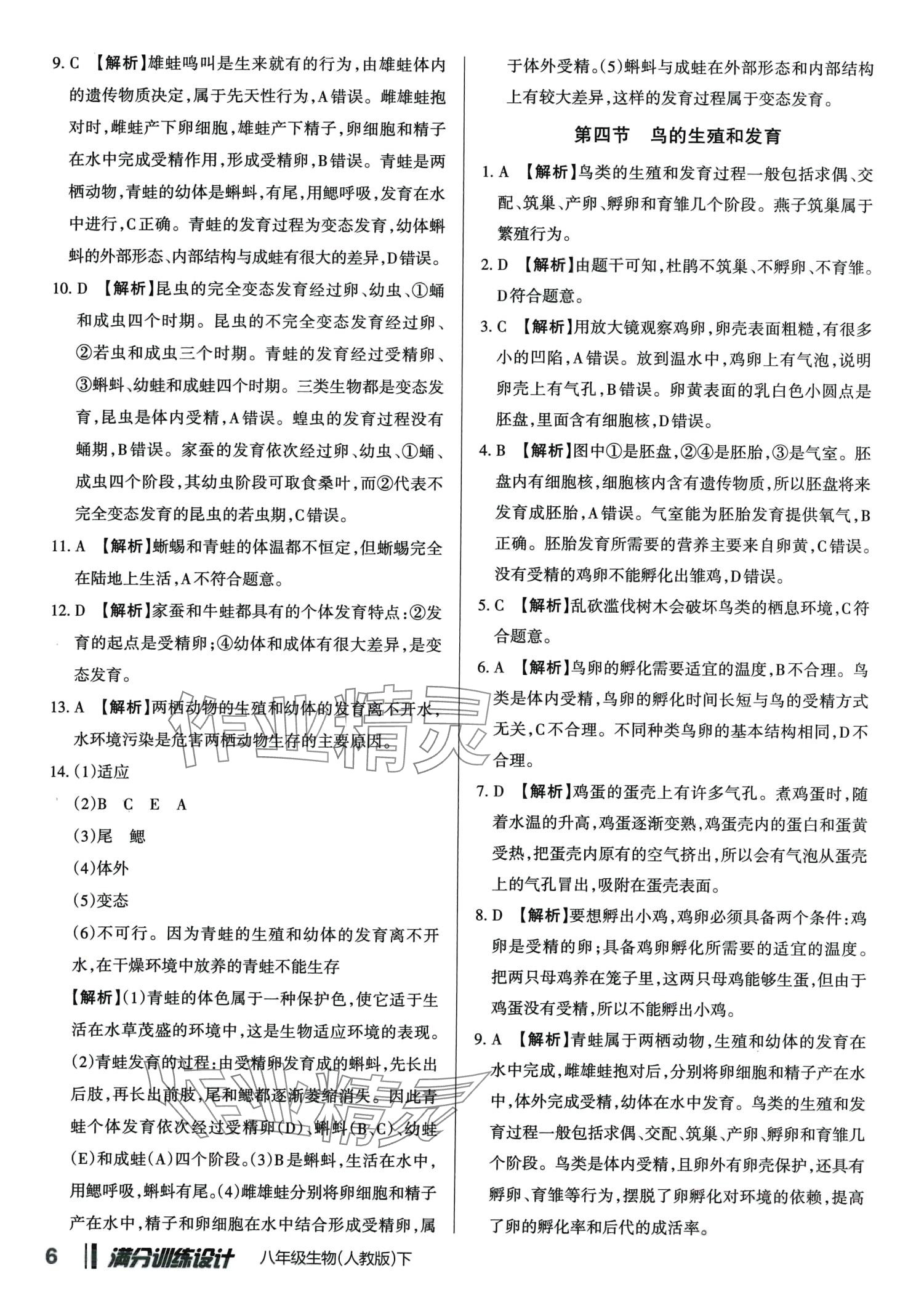 2024年滿分訓(xùn)練設(shè)計八年級生物下冊人教版 第5頁