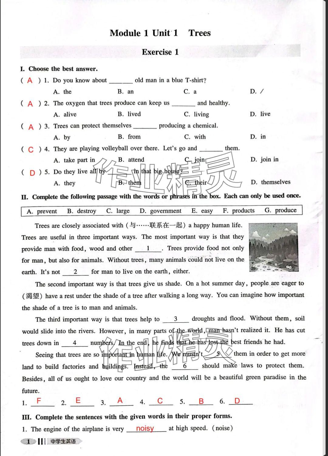 2025年中学生英语同步精练八年级下册沪教版54制 参考答案第1页