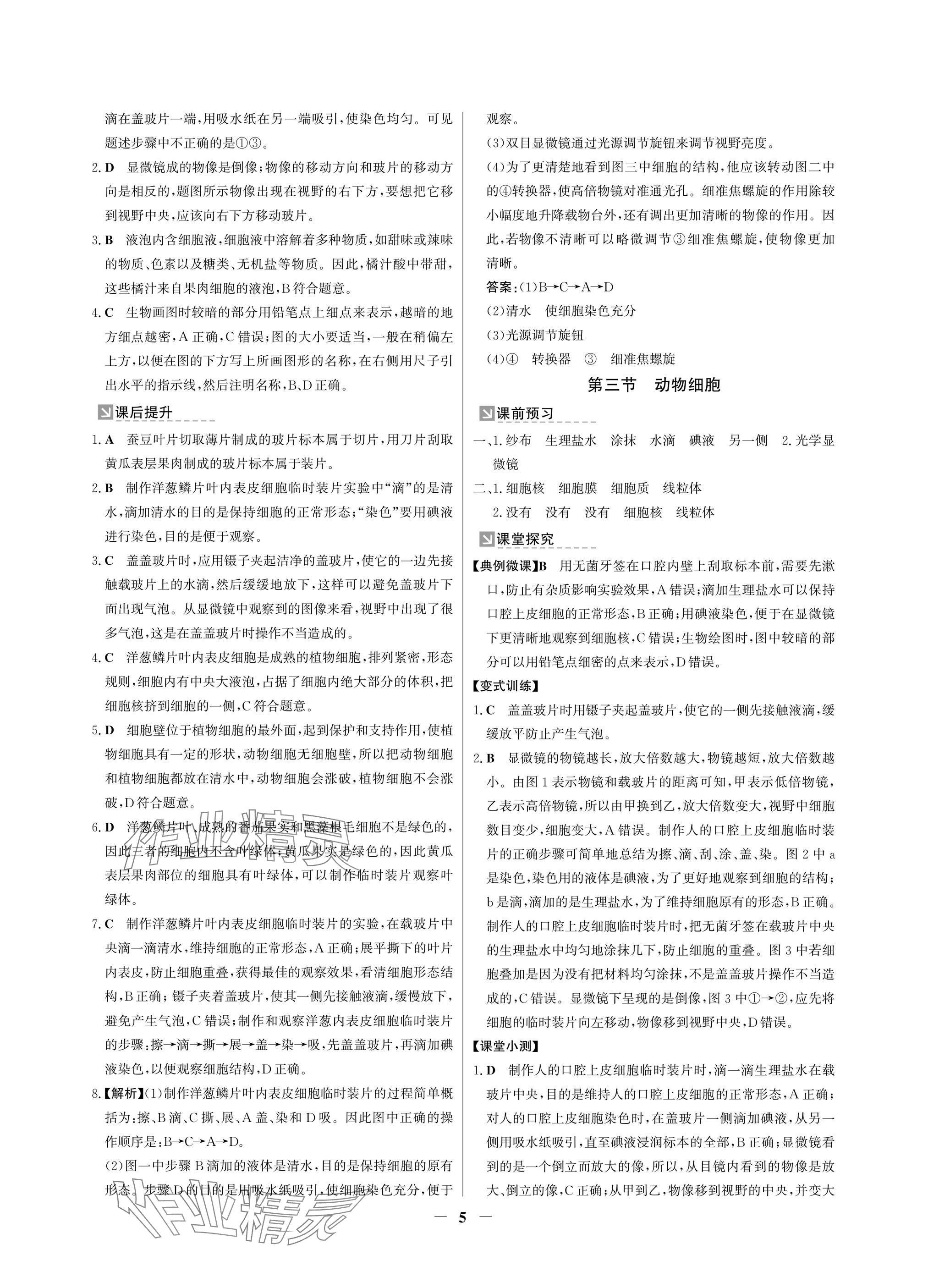 2024年南方新課堂金牌學(xué)案七年級(jí)生物上冊(cè)人教版深圳專版 參考答案第5頁