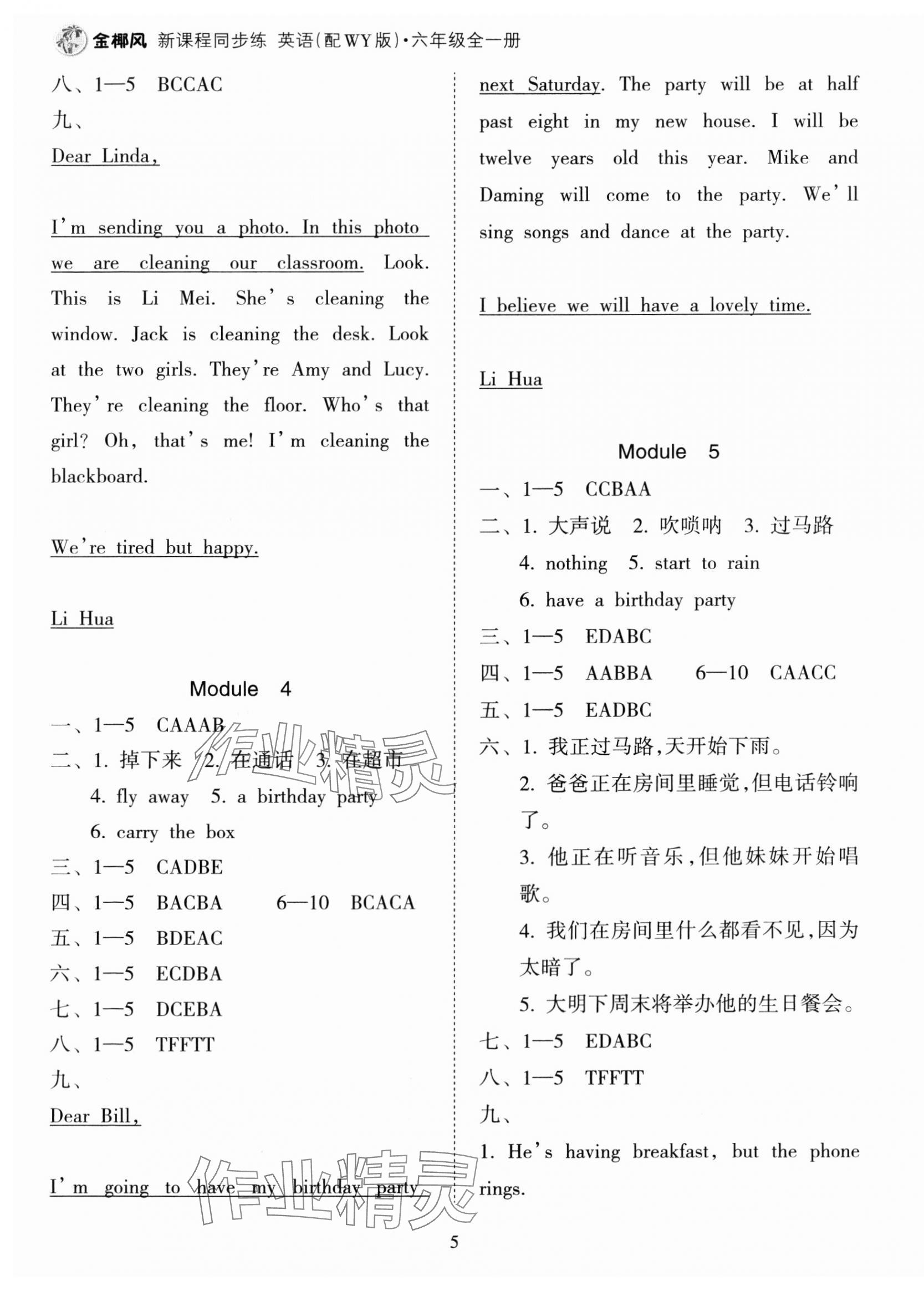 2023年金椰風(fēng)新課程同步練六年級(jí)英語(yǔ)全一冊(cè)外研版 第5頁(yè)