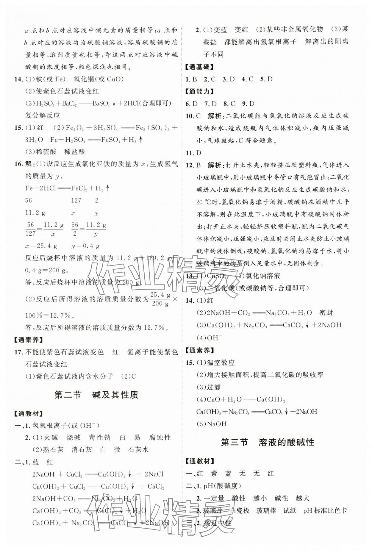 2024年優(yōu)加學案課時通九年級化學全一冊魯教版54制 第5頁