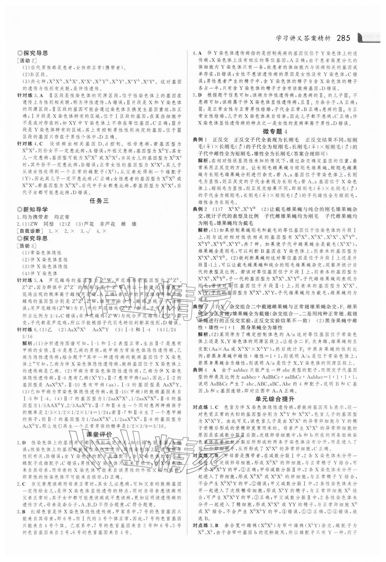 2025年金版新學(xué)案高中生物必修第二冊人教版 參考答案第8頁