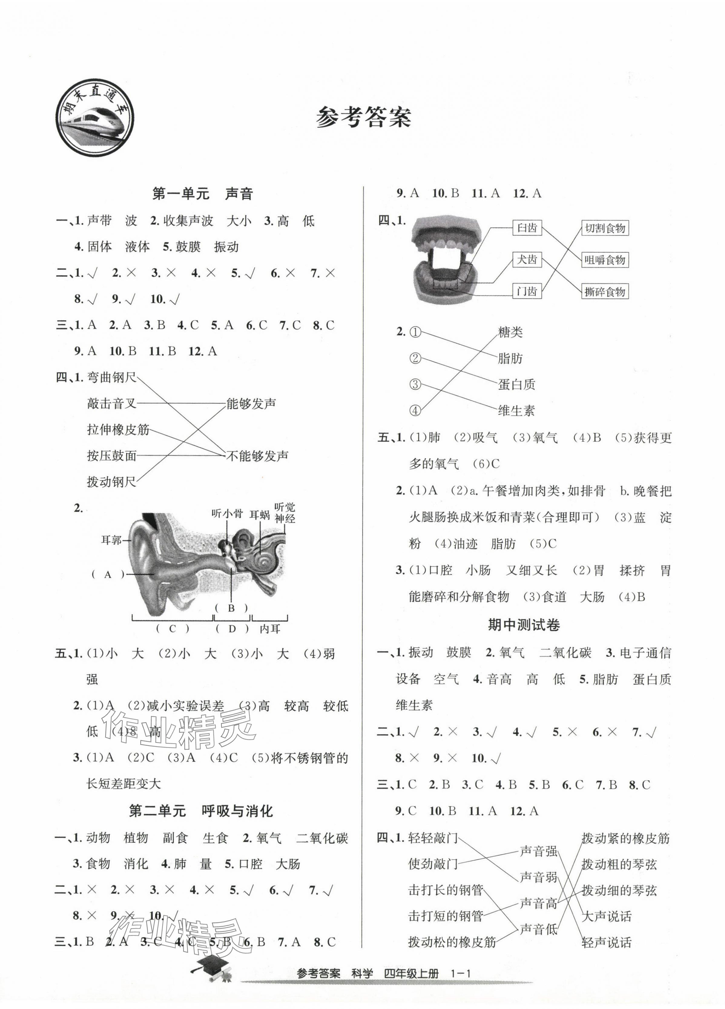 2023年期末直通车四年级科学上册教科版 第1页