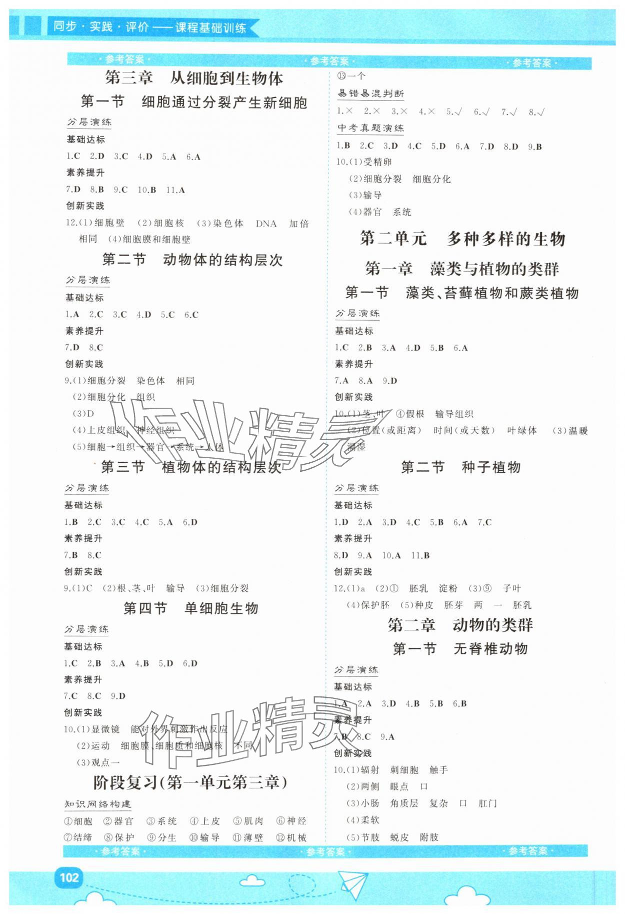 2024年同步實(shí)踐評價課程基礎(chǔ)訓(xùn)練七年級生物上冊人教版 第2頁