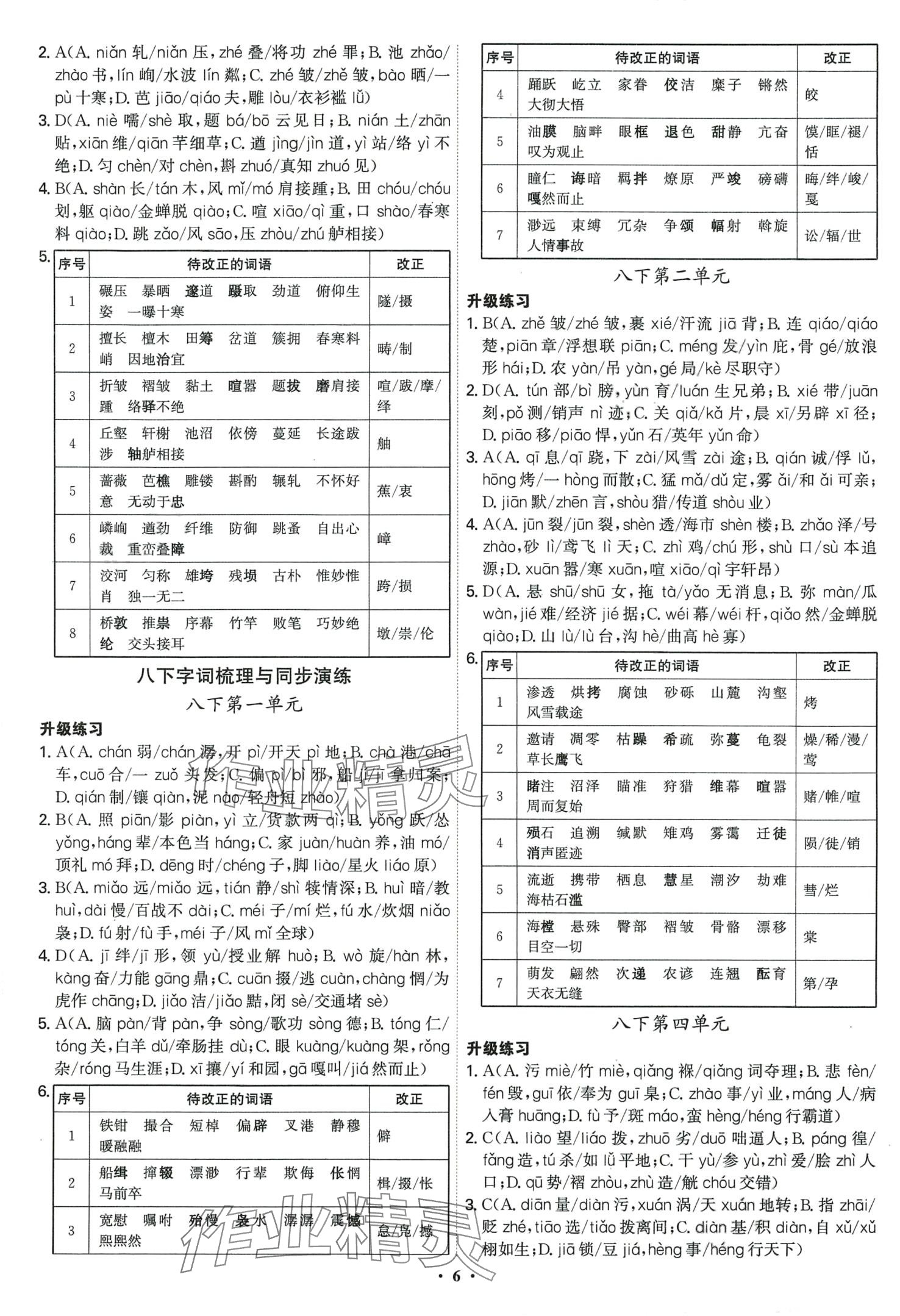 2024年精準初中語文一本通 第6頁