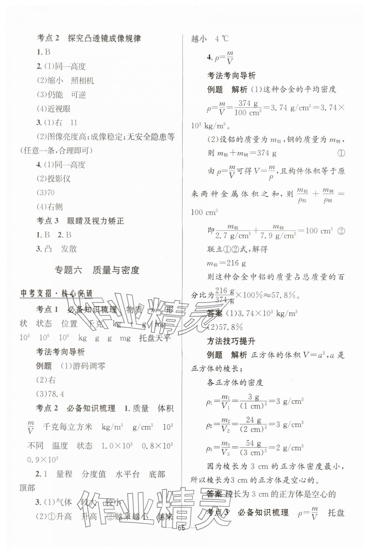 2025年初中總復習手冊北京師范大學出版社物理 第5頁