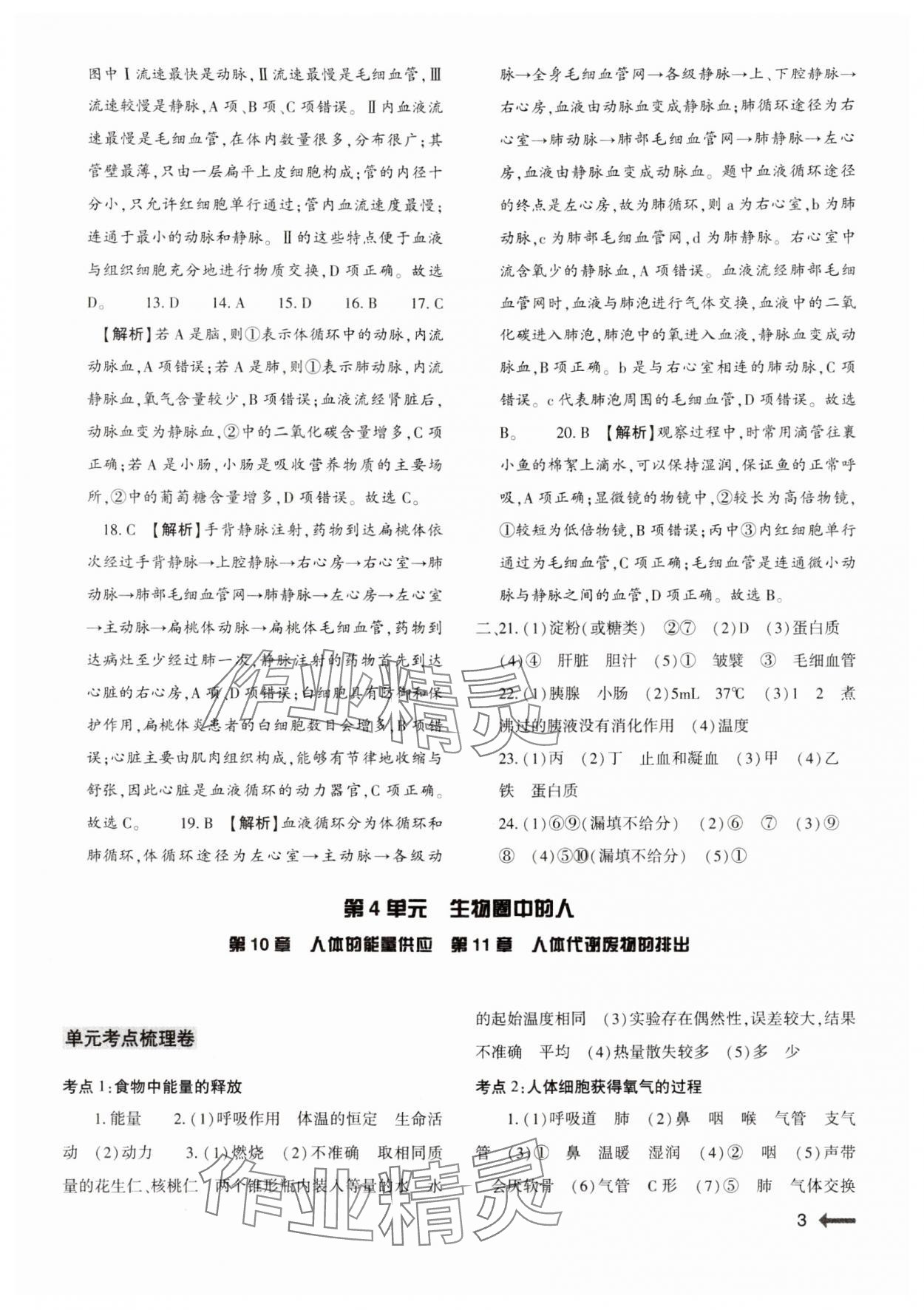 2024年節(jié)節(jié)高大象出版社七年級生物下冊北師大版 參考答案第3頁