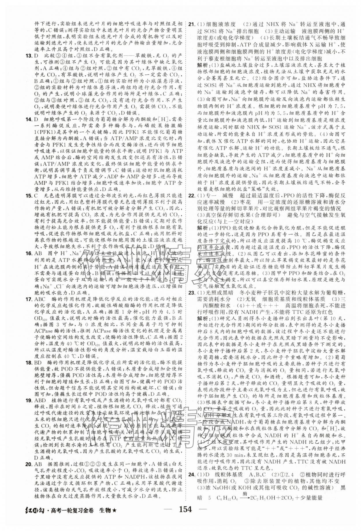 2025年紅對(duì)勾高考一輪復(fù)習(xí)金卷生物 第16頁