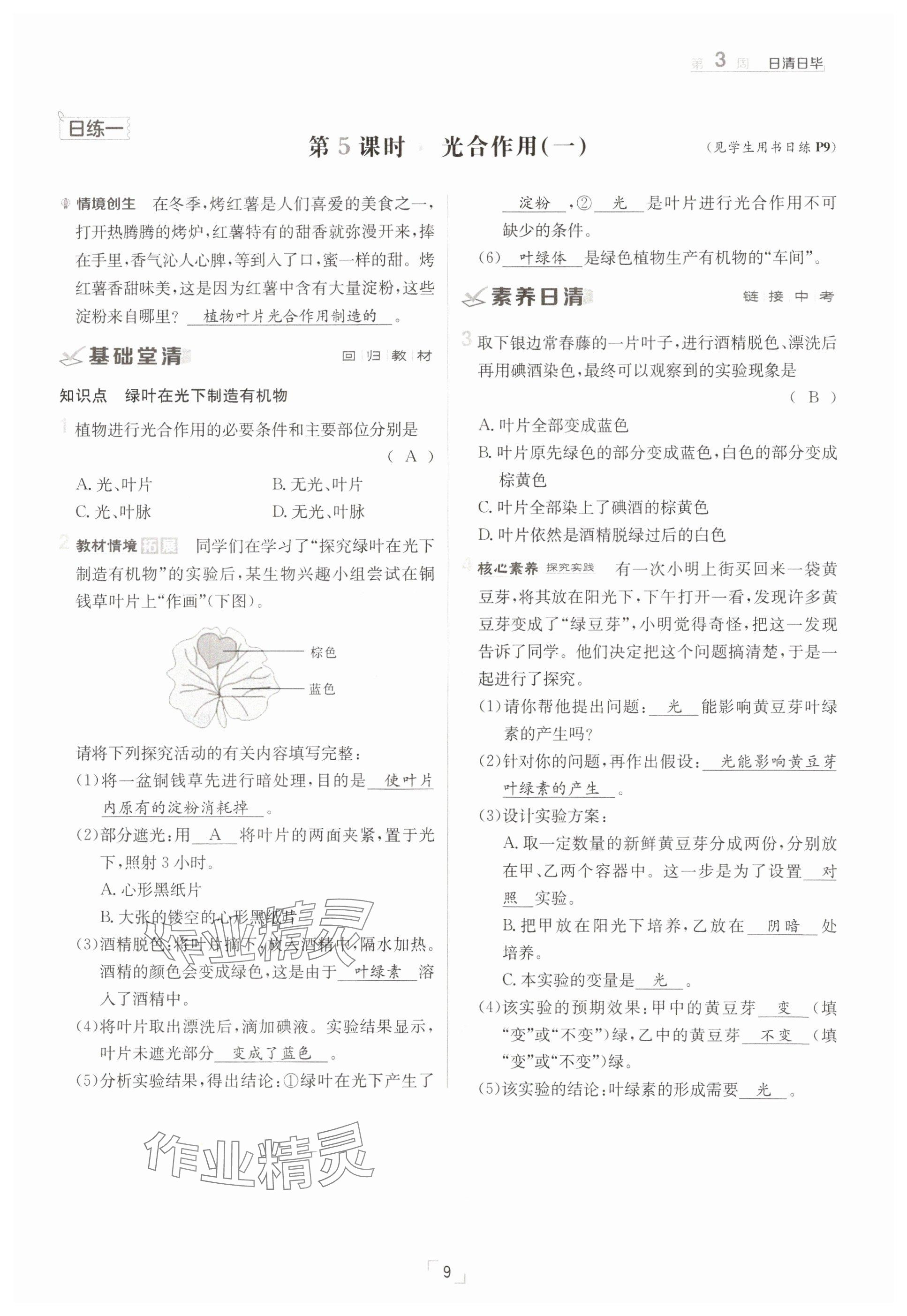 2025年日清周練七年級(jí)生物下冊(cè)人教版 參考答案第9頁(yè)