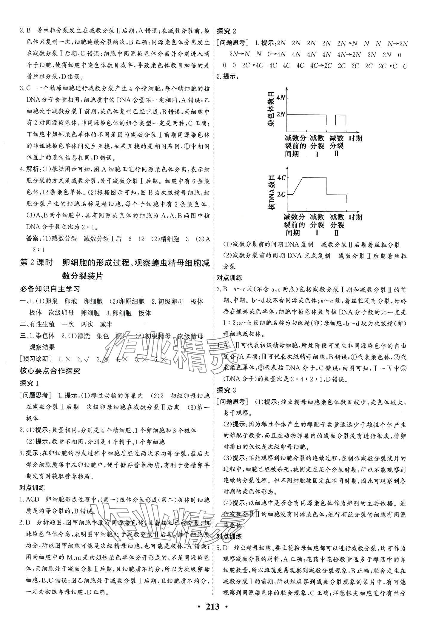 2024年優(yōu)化探究同步導學案高中生物必修2人教版 第7頁