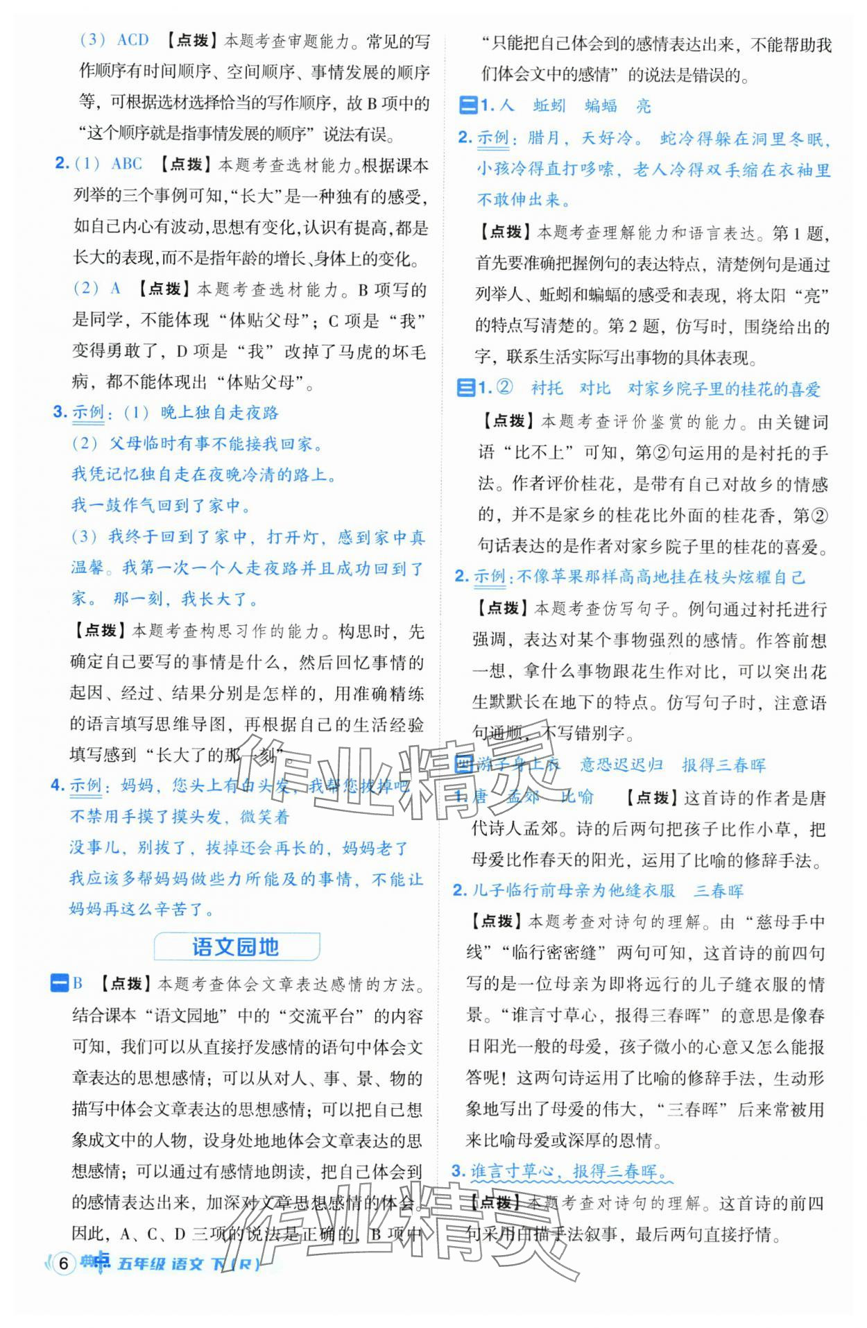 2025年綜合應(yīng)用創(chuàng)新題典中點(diǎn)五年級(jí)語文下冊(cè)人教版 參考答案第6頁
