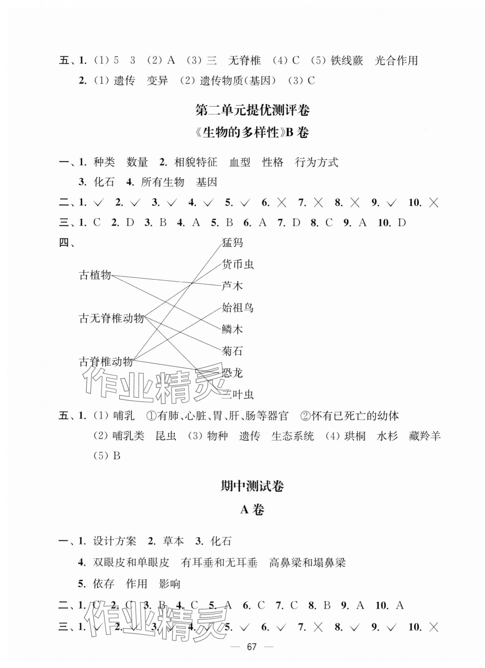 2024年江蘇好卷六年級科學(xué)下冊教科版 第3頁