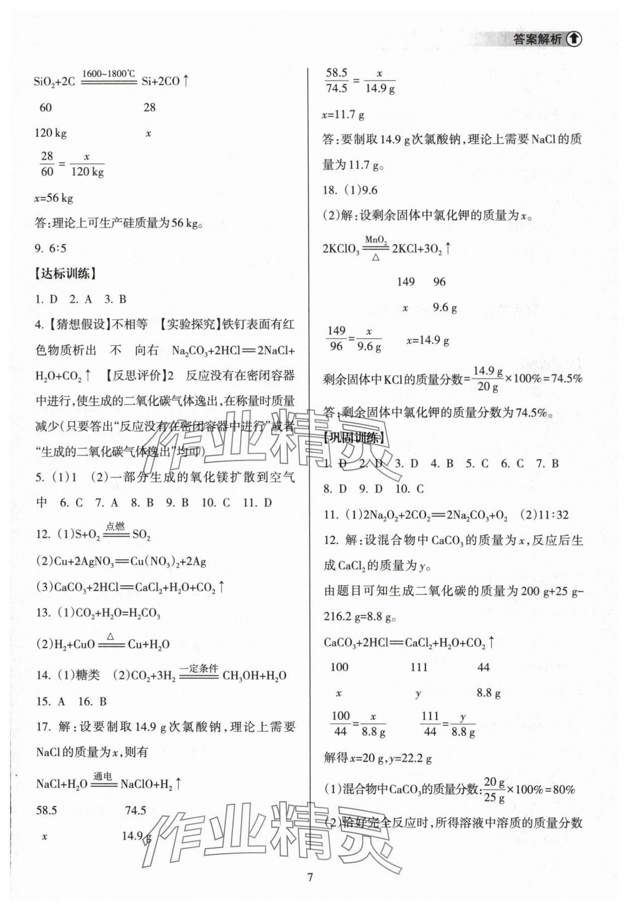 2024年海南中學(xué)中考總復(fù)習(xí)化學(xué)人教版 參考答案第7頁