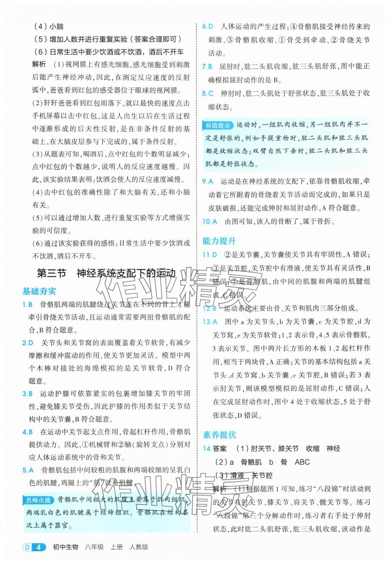 2025年5年中考3年模擬八年級(jí)生物上冊(cè)人教版 第4頁