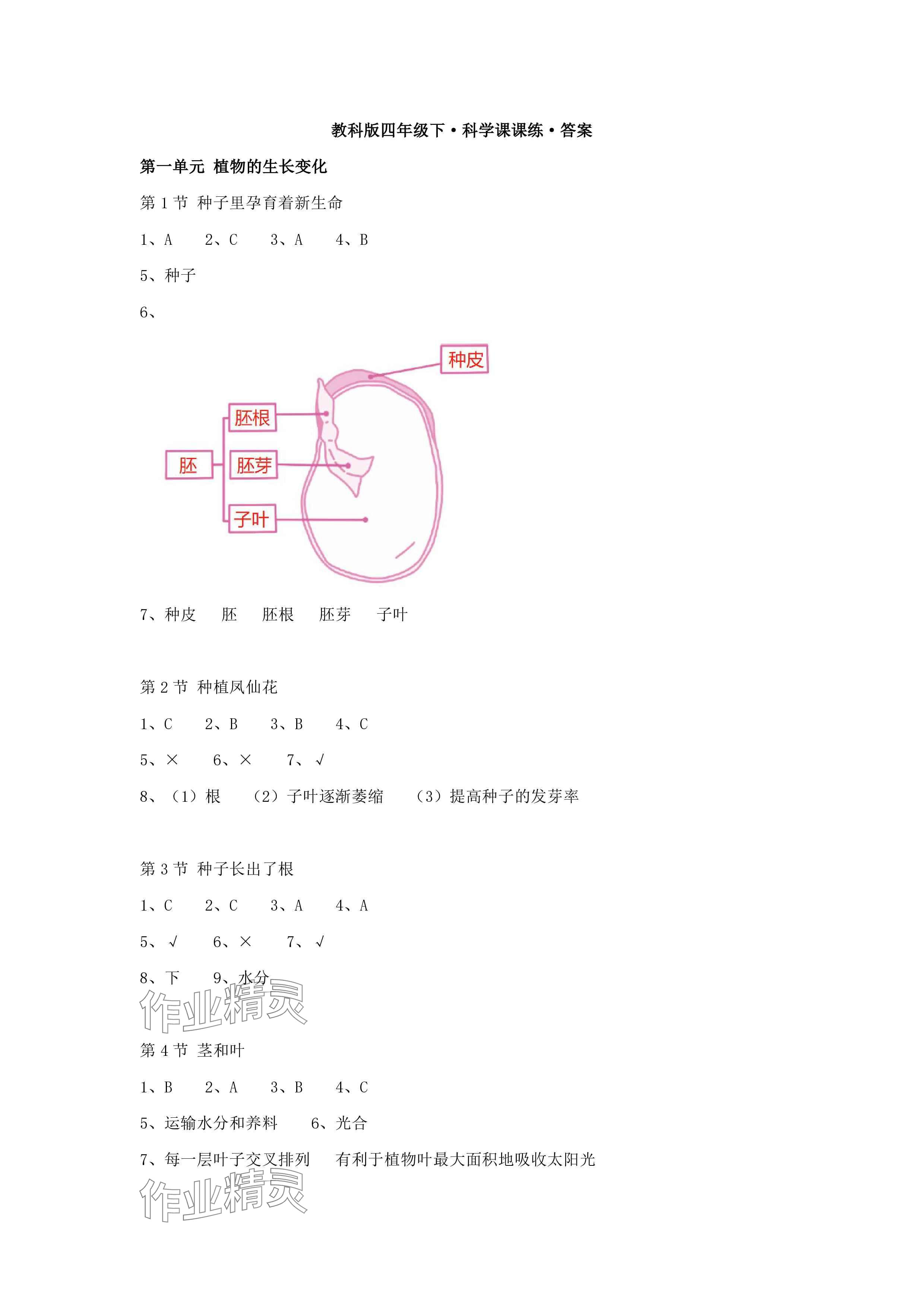 2025年科學課課練四年級下冊教科版 參考答案第1頁