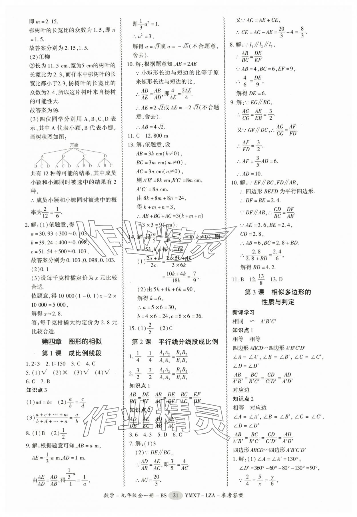 2025年零障礙導(dǎo)教導(dǎo)學(xué)案九年級(jí)數(shù)學(xué)全一冊(cè)北師大版 第21頁(yè)