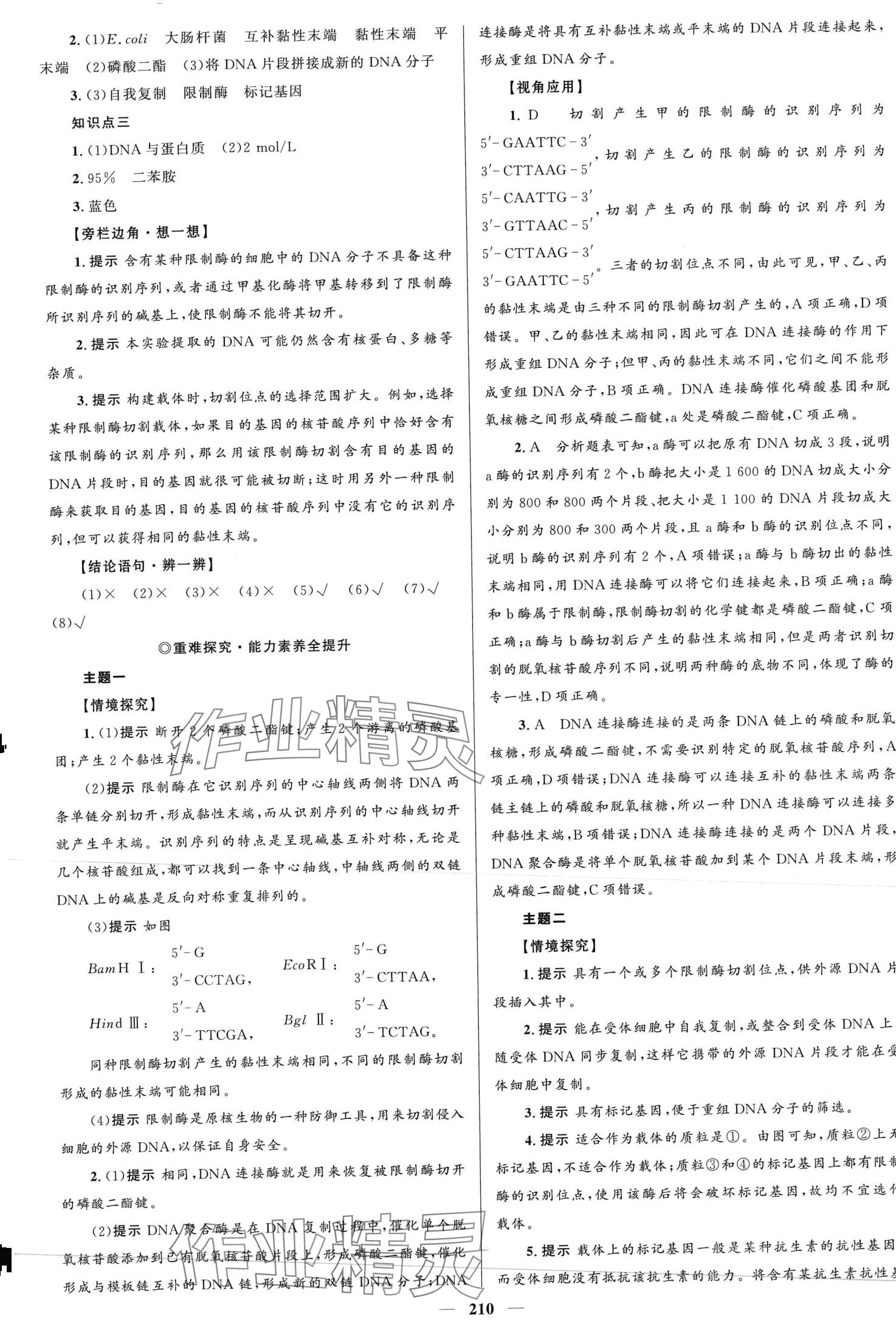 2024年高中同步學案優(yōu)化設計高中生物選擇性必修3人教版 第13頁