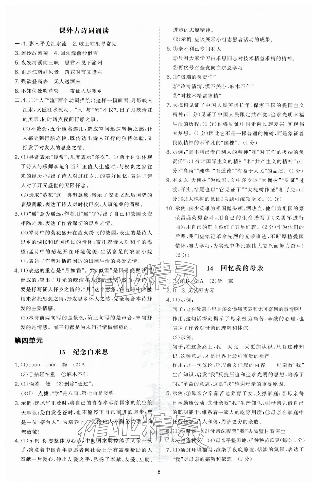 2024年点拨训练七年级语文上册人教版宁夏专版 第8页