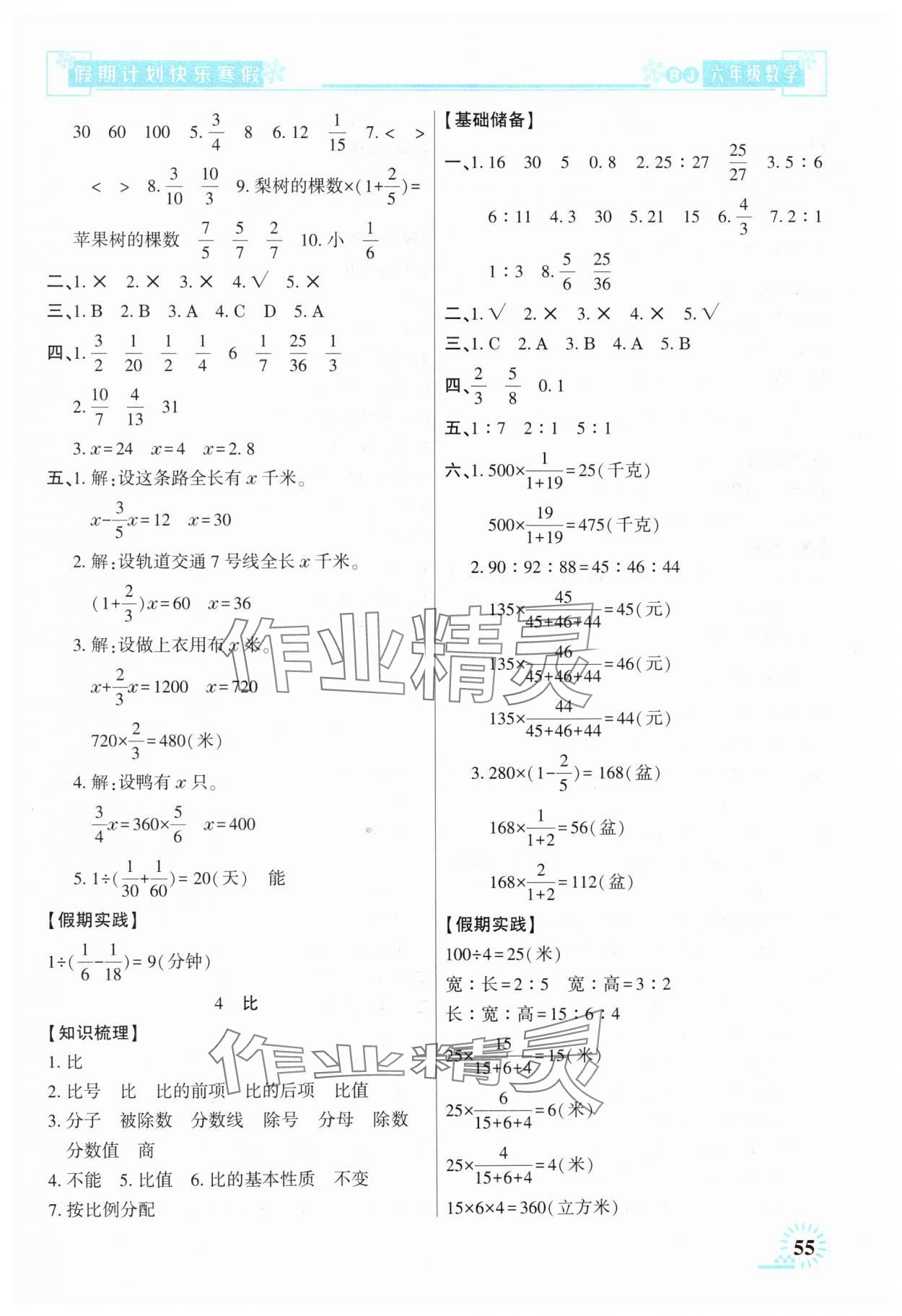 2025年快樂(lè)寒假假期計(jì)劃六年級(jí)數(shù)學(xué)人教版 參考答案第2頁(yè)