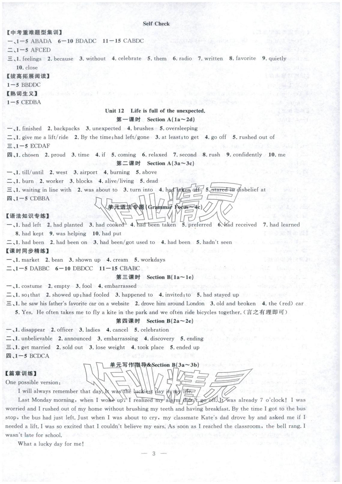 2026年课时夺冠九年级英语下册人教版河南专版&nbsp;第3页