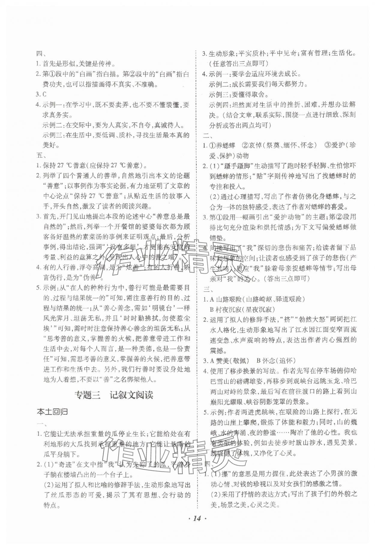 2024年本土攻略精準(zhǔn)復(fù)習(xí)方案語文云南專版 參考答案第14頁
