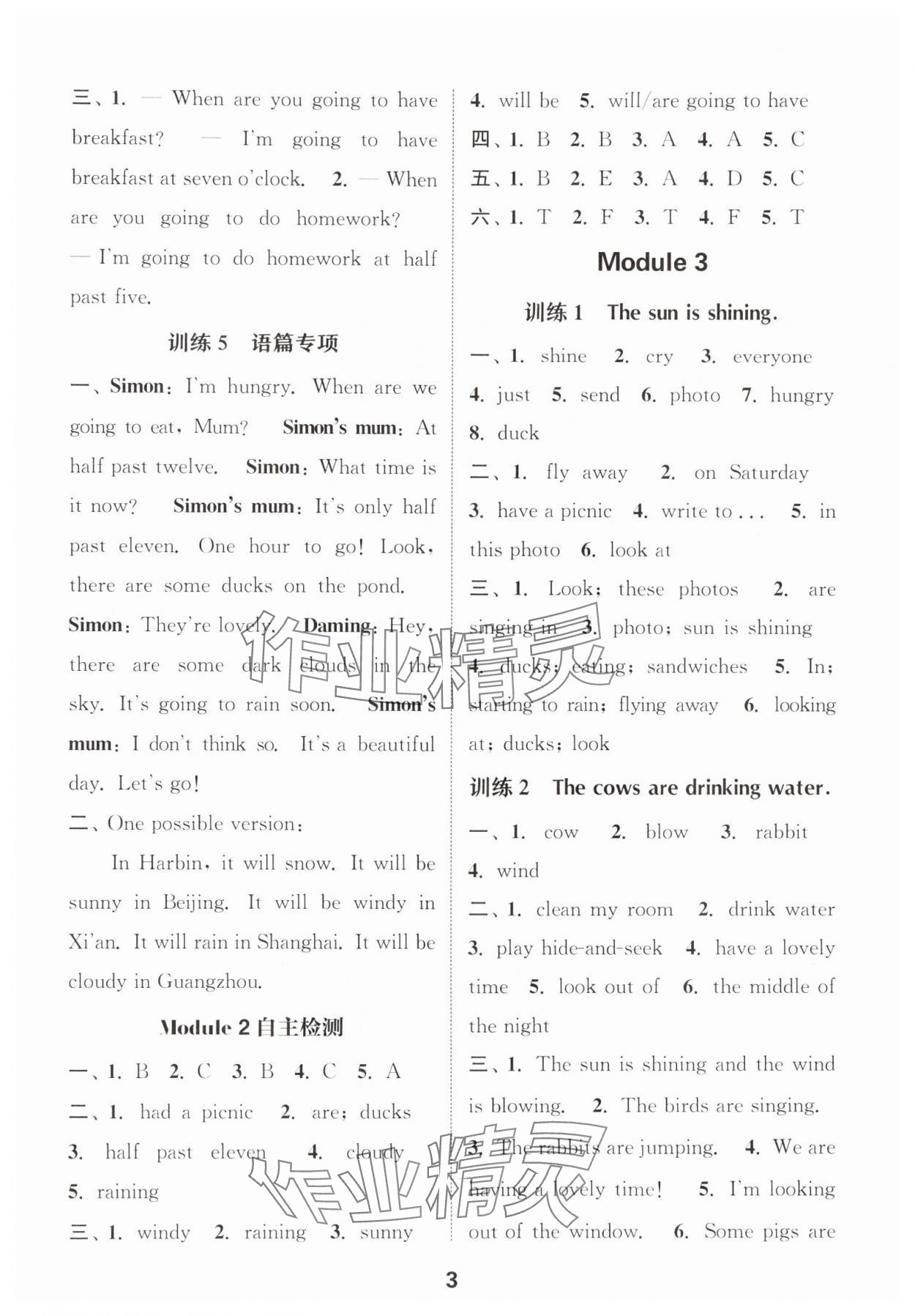 2025年小學(xué)英語默寫能手六年級(jí)下冊(cè)外研版三起 第3頁