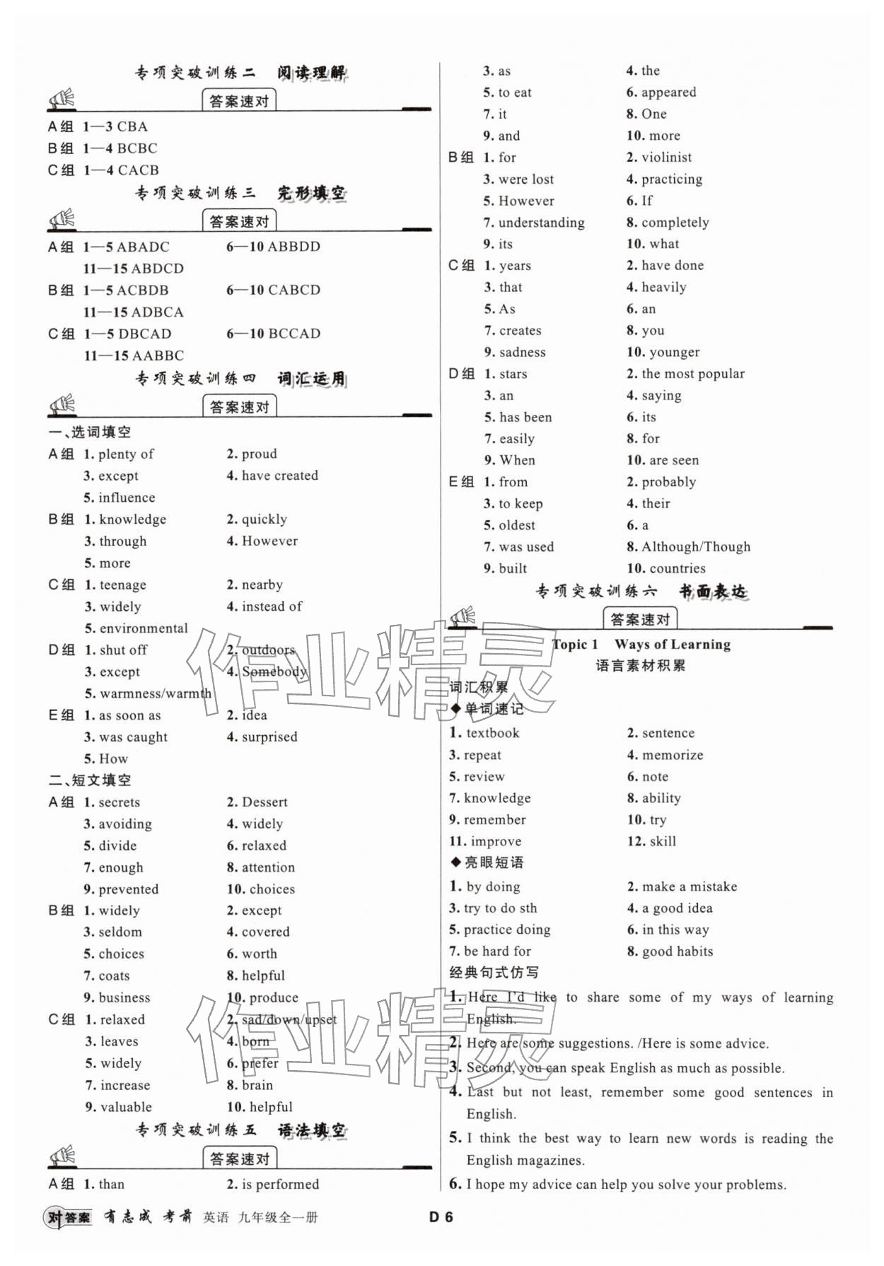 2025年有志成考前必刷题九年级英语全一册人教版&nbsp;第6页
