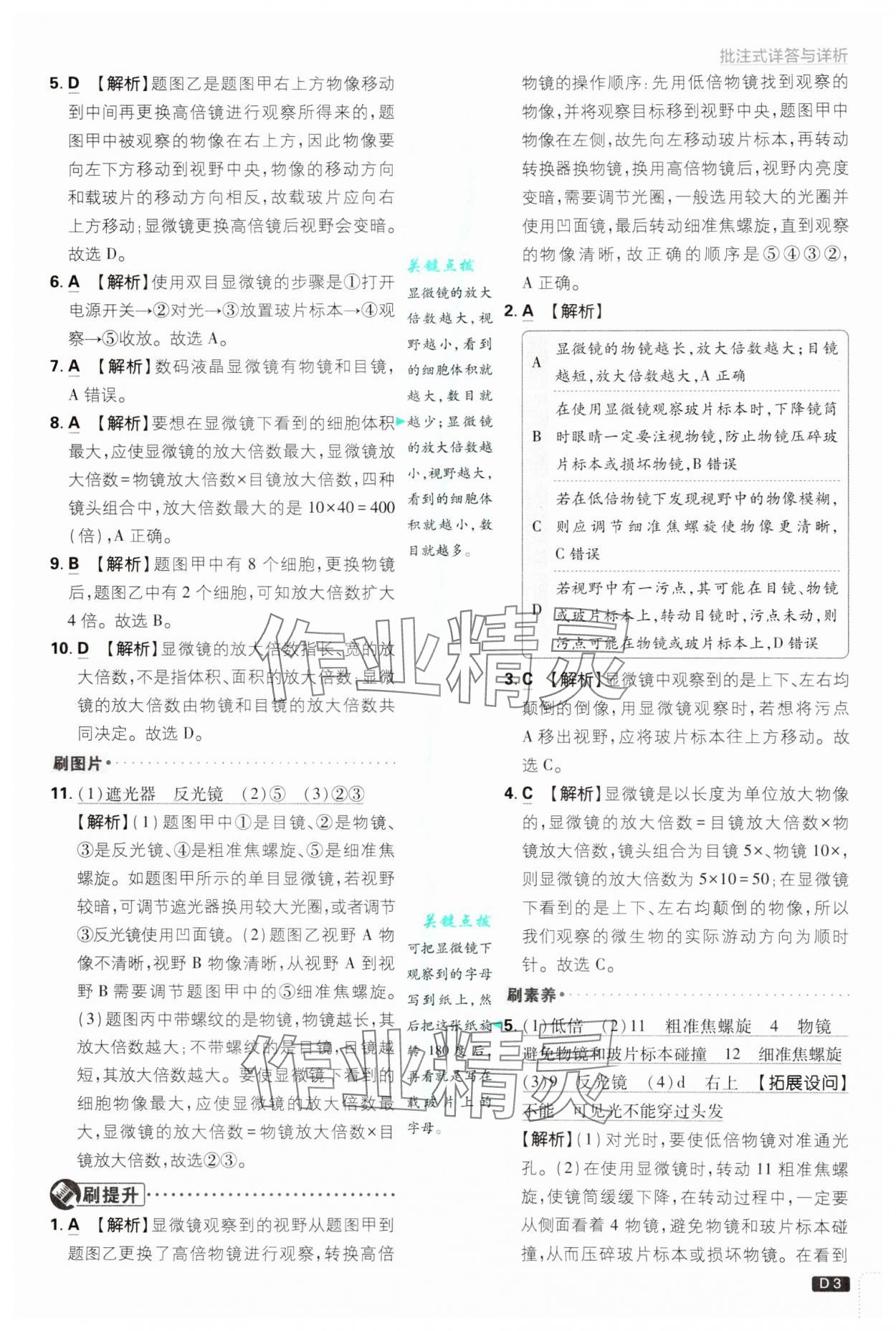 2024年初中必刷题七年级生物上册人教版 第3页