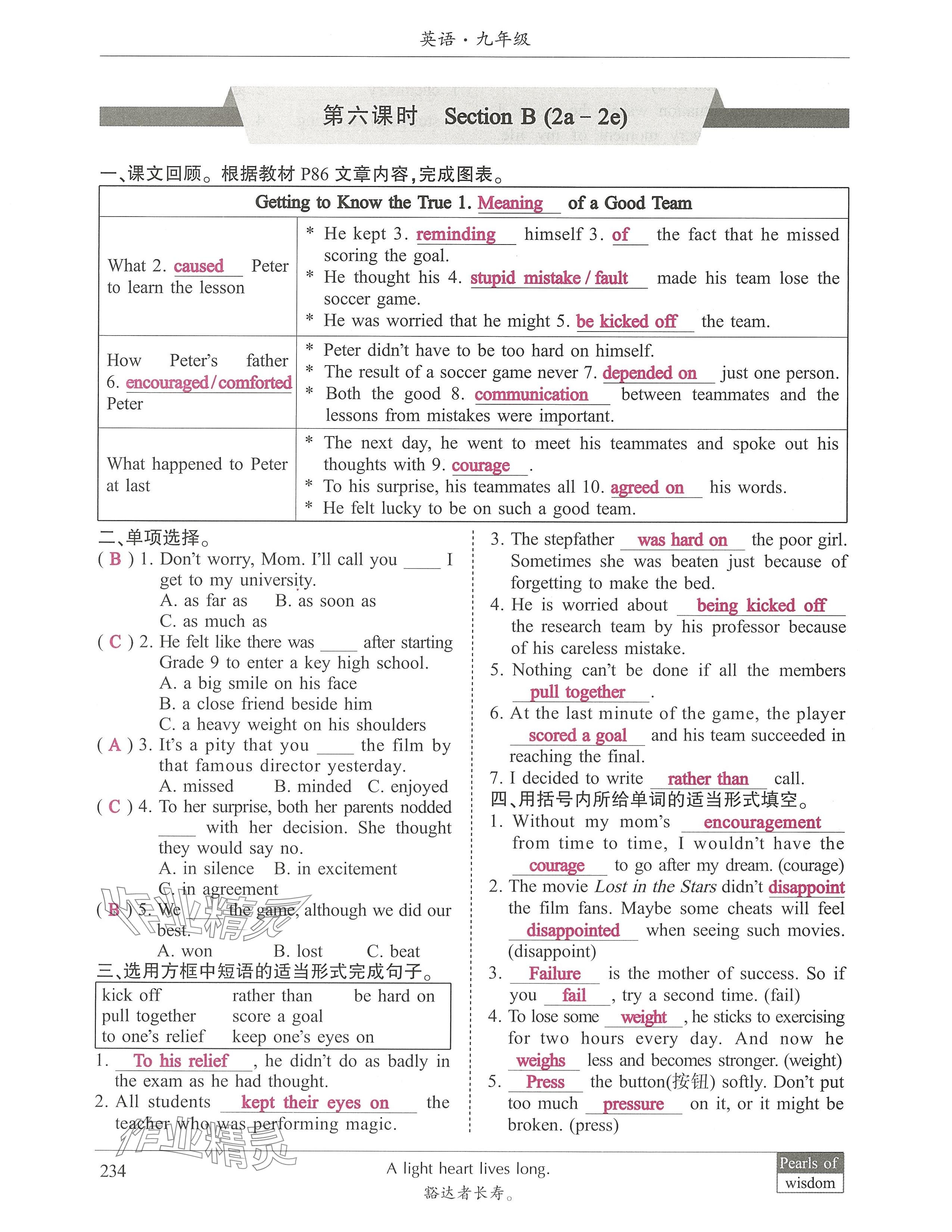 2024年新視界初中英語(yǔ)九年級(jí)英語(yǔ)下冊(cè)人教版 參考答案第13頁(yè)