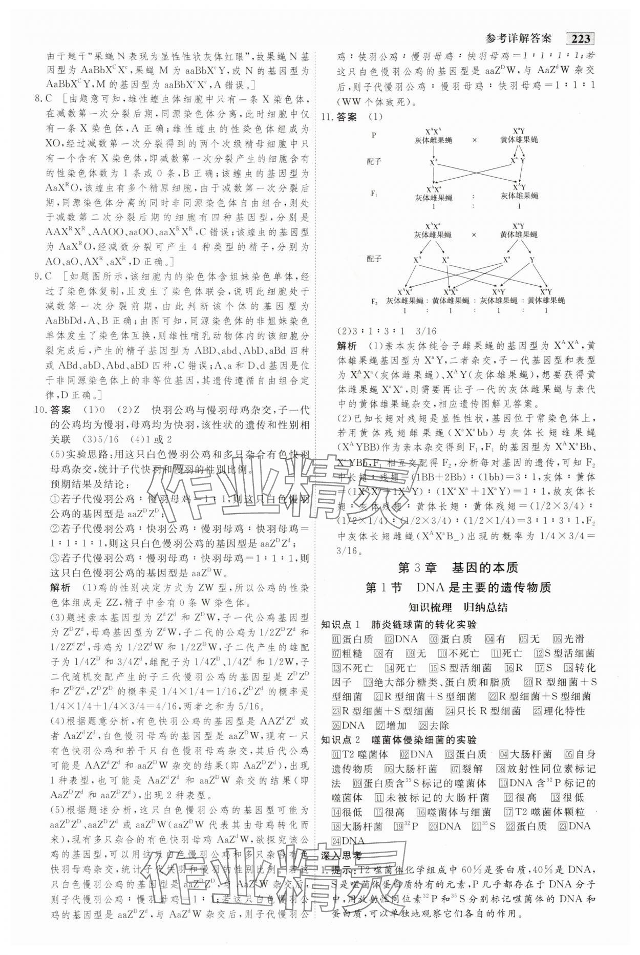 2024年金版教程高中新课程创新导学案高中生物必修2人教版 参考答案第12页