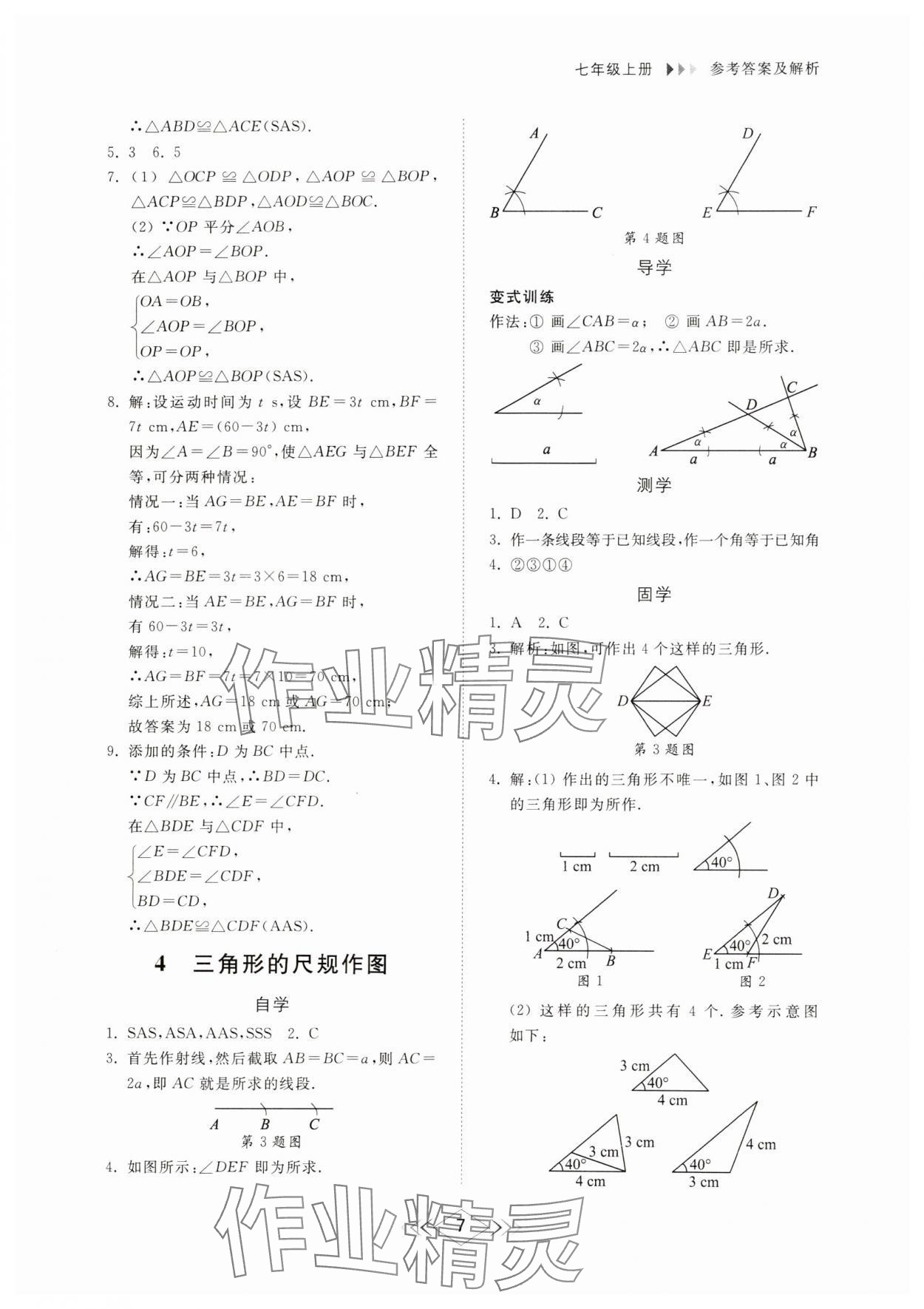 2024年综合能力训练七年级数学上册鲁教版54制 参考答案第7页