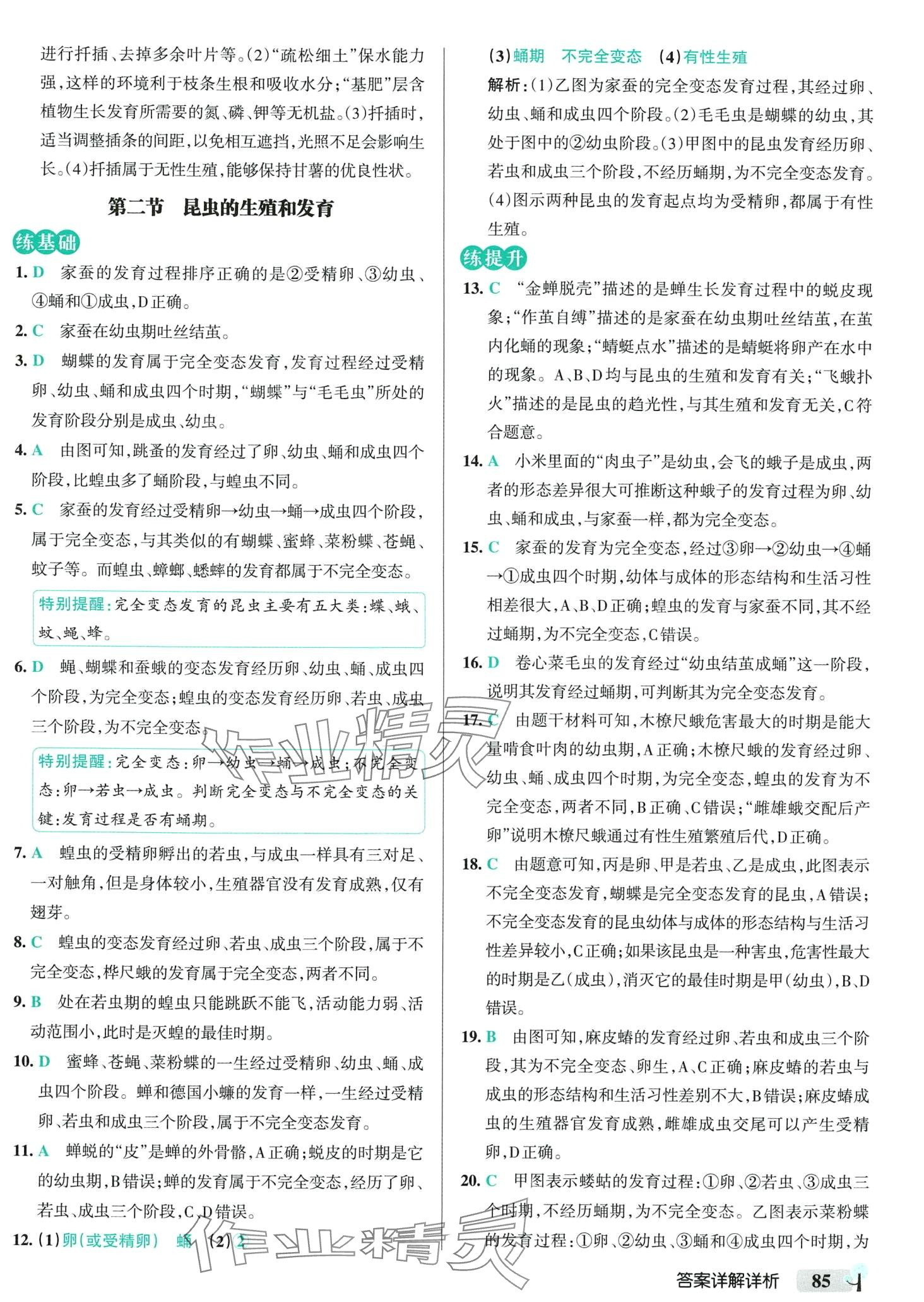 2024年初中學(xué)霸創(chuàng)新題八年級生物下冊人教版 參考答案第3頁