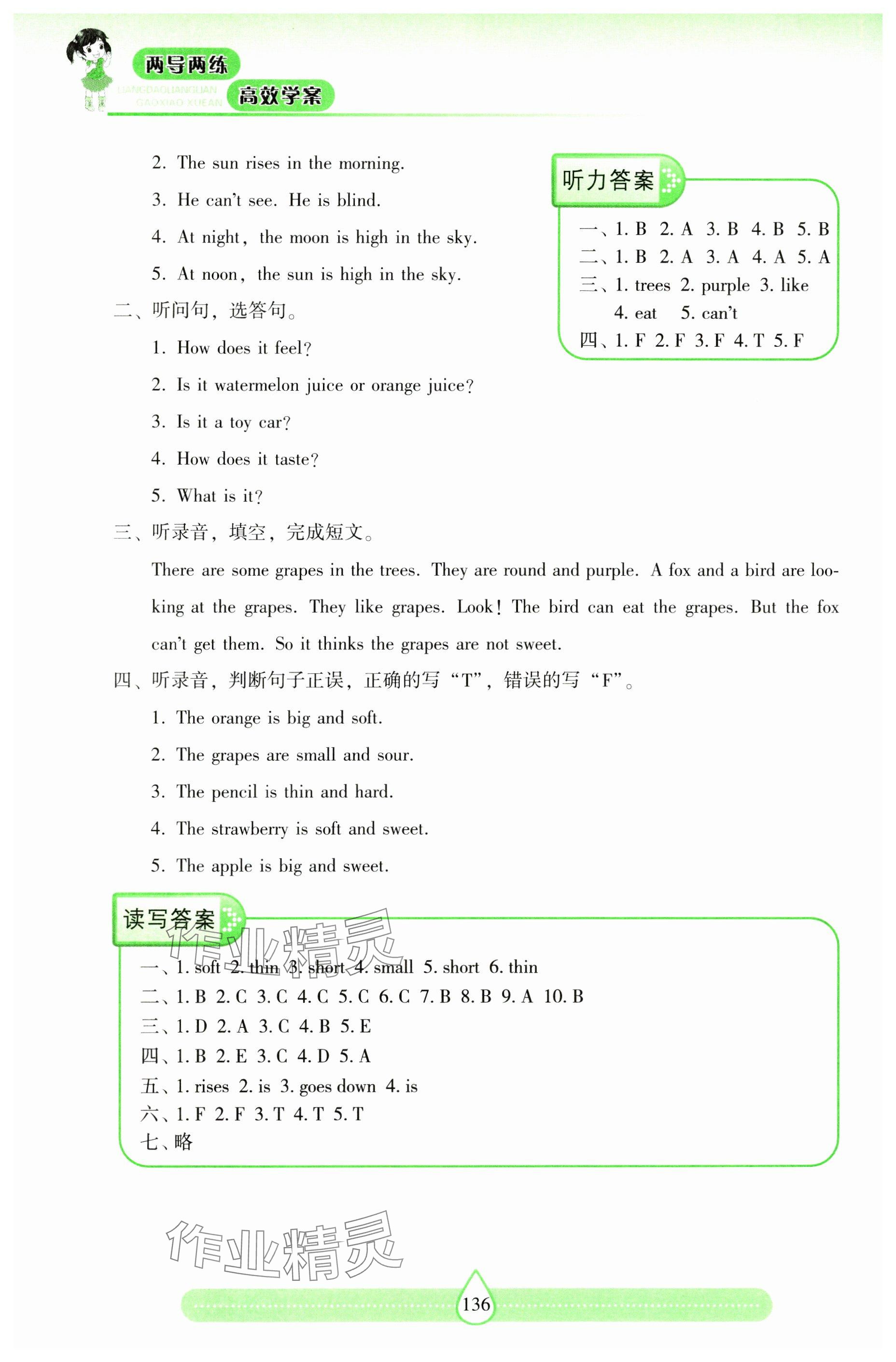 2025年新課標兩導兩練高效學案四年級英語下冊滬教版 參考答案第5頁