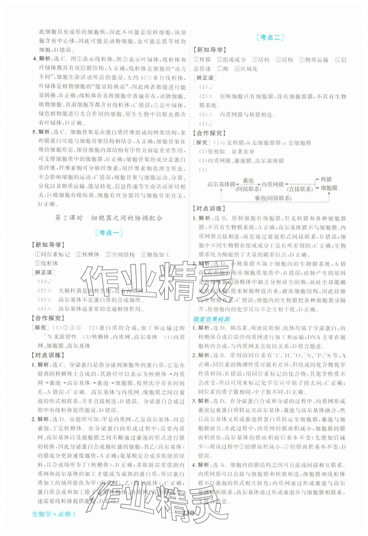 2025年新坐标同步练习高中生物必修第一册人教版 第10页