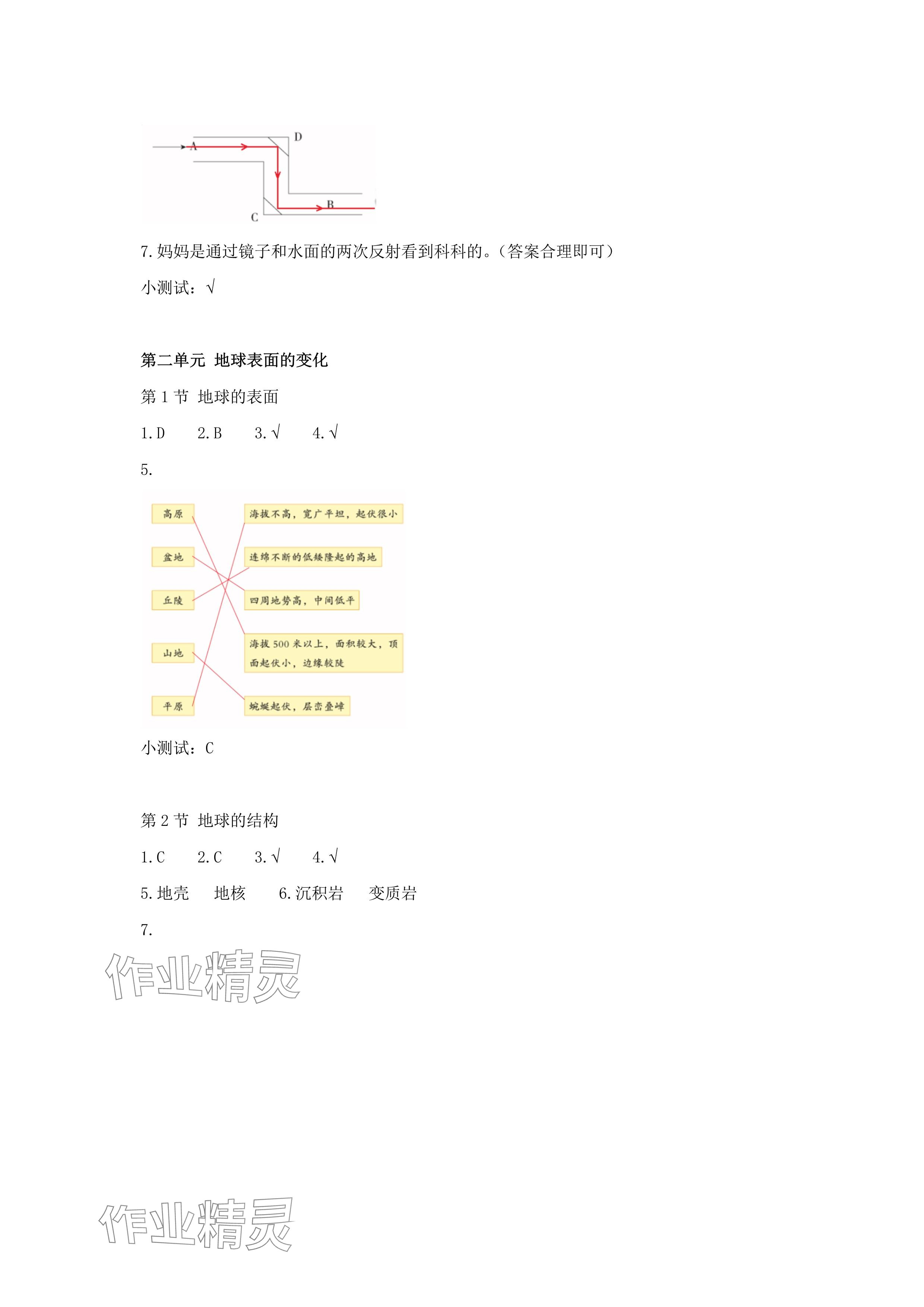 2024年科學素養(yǎng)提升五年級上冊教科版 參考答案第3頁