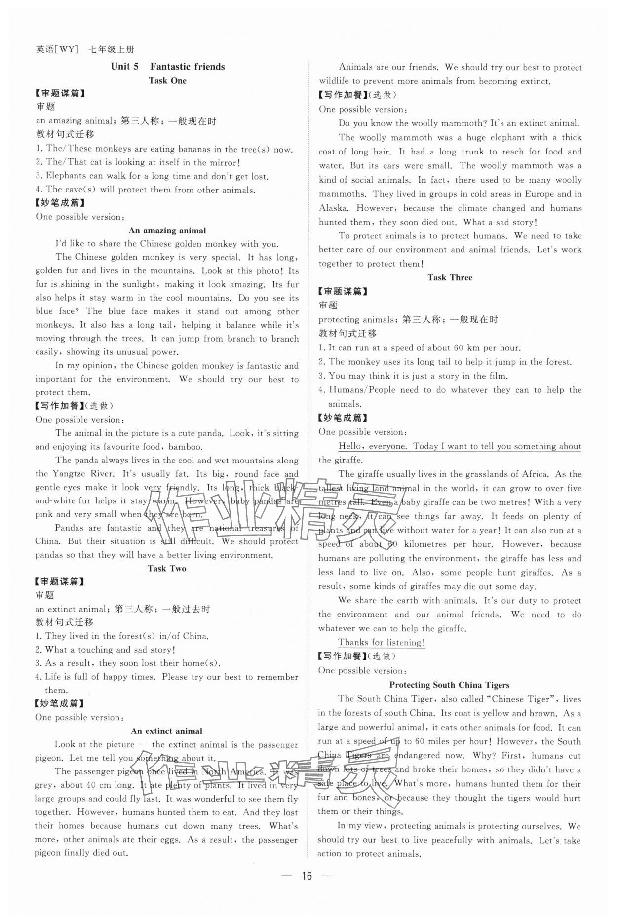 2025年全效学习七年级英语上册外研版 参考答案第15页