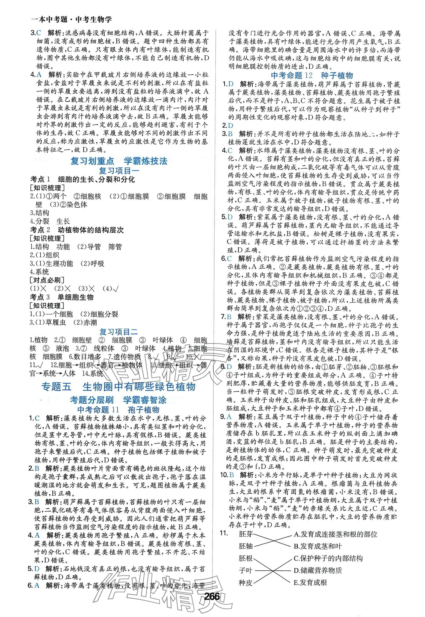 2024年一本中考題生物中考 第6頁