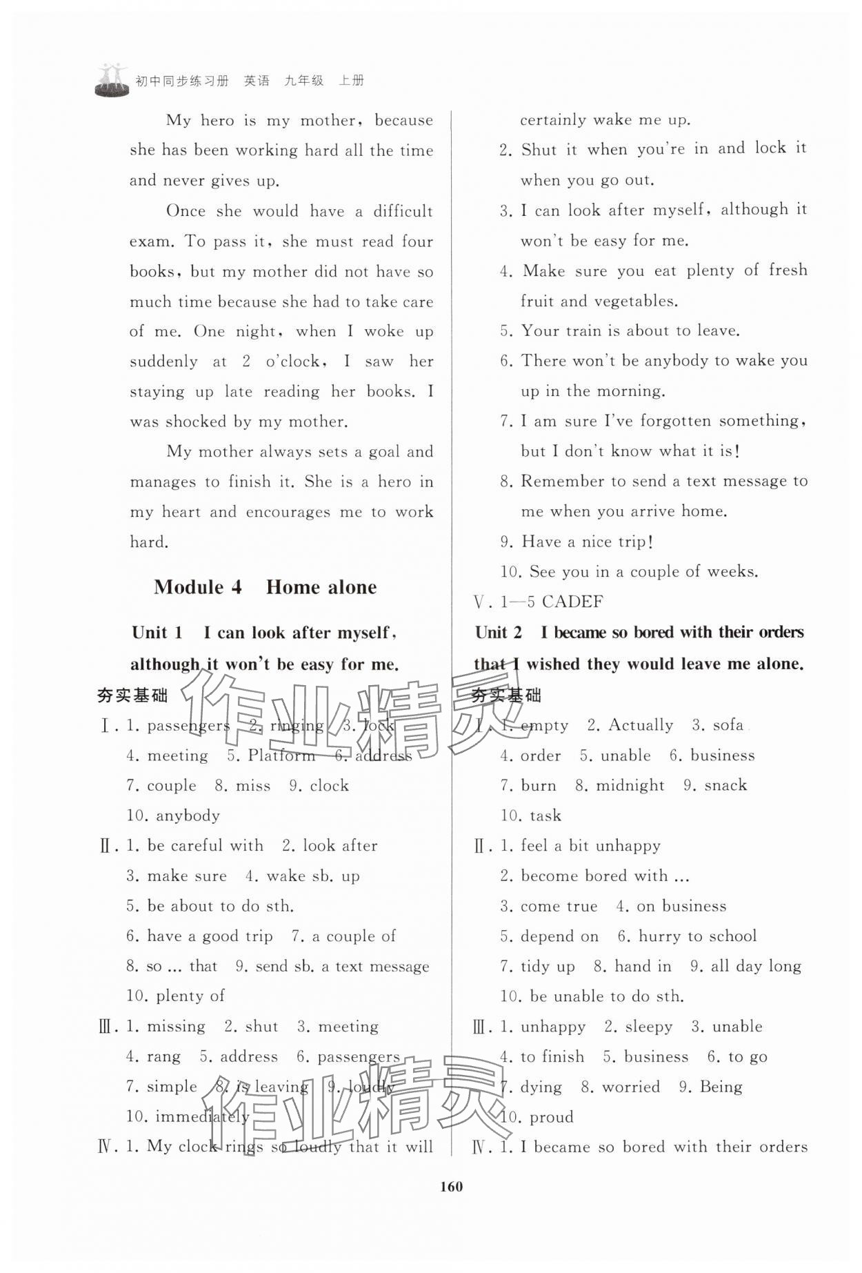 2025年初中同步练习册九年级英语上册外研版山东友谊出版社&nbsp;第8页