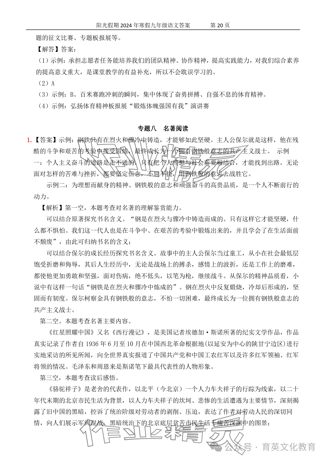 2024年领跑新学期寒假培优衔接九年级&nbsp;参考答案第20页