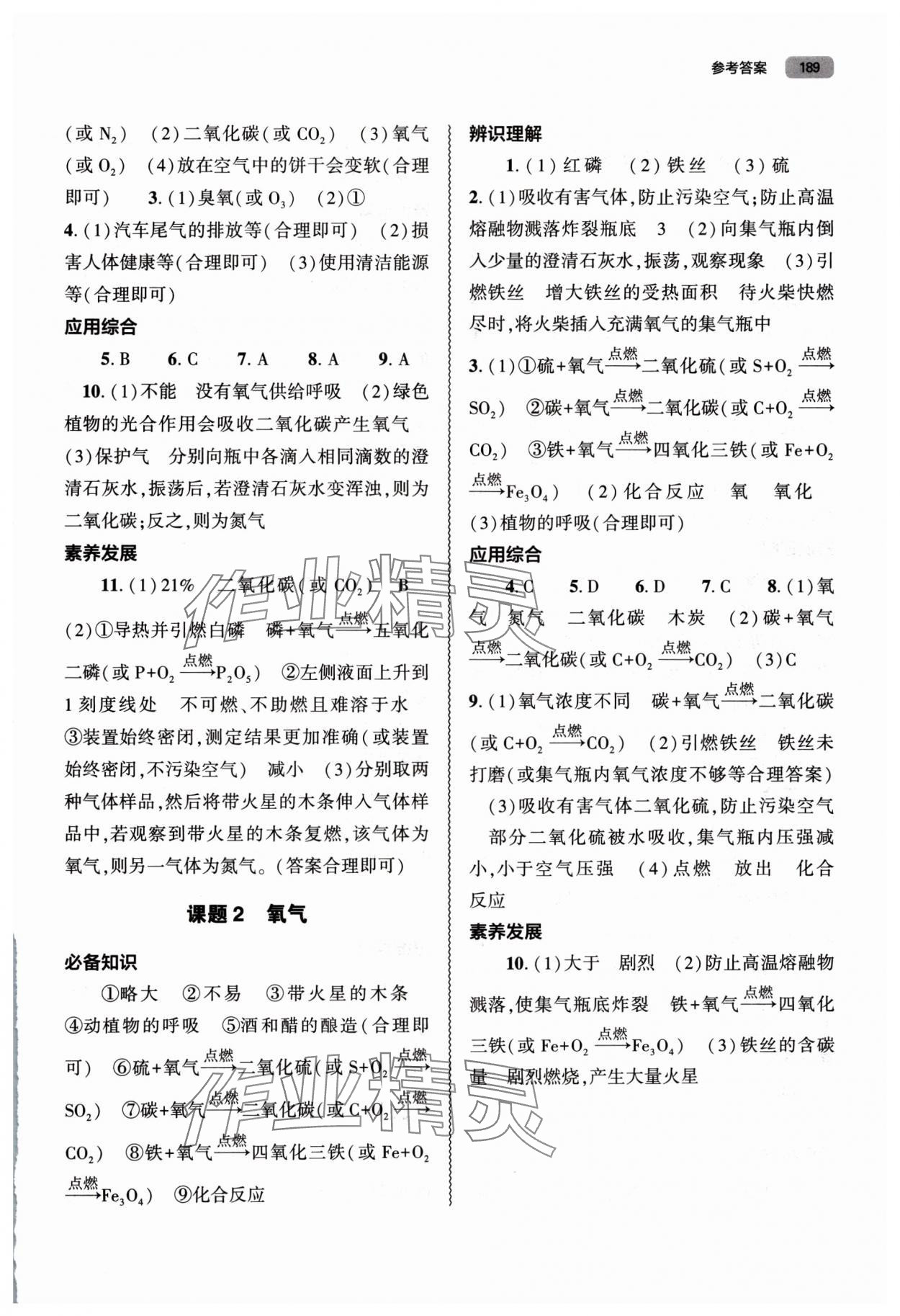 2025年同步練習冊大象出版社九年級化學上冊人教版 參考答案第4頁