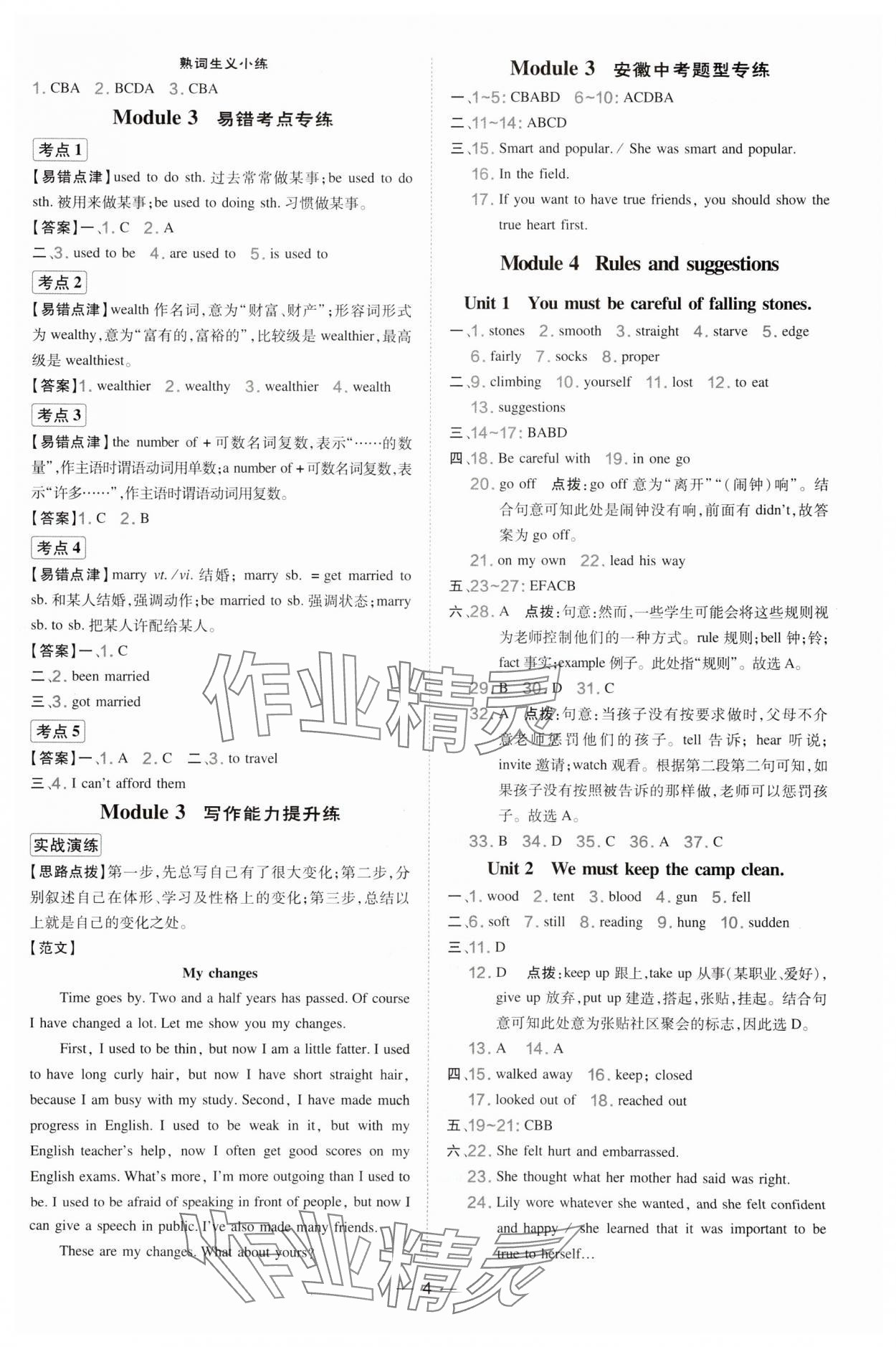 2025年點(diǎn)撥訓(xùn)練九年級(jí)英語下冊(cè)外研版安徽專版 參考答案第4頁