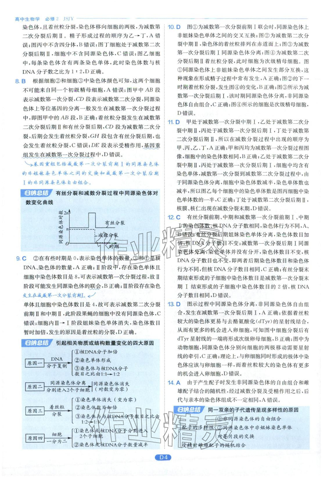 2026年實驗班全優(yōu)檢測卷高中生物必修第二冊蘇教版&nbsp;第4頁
