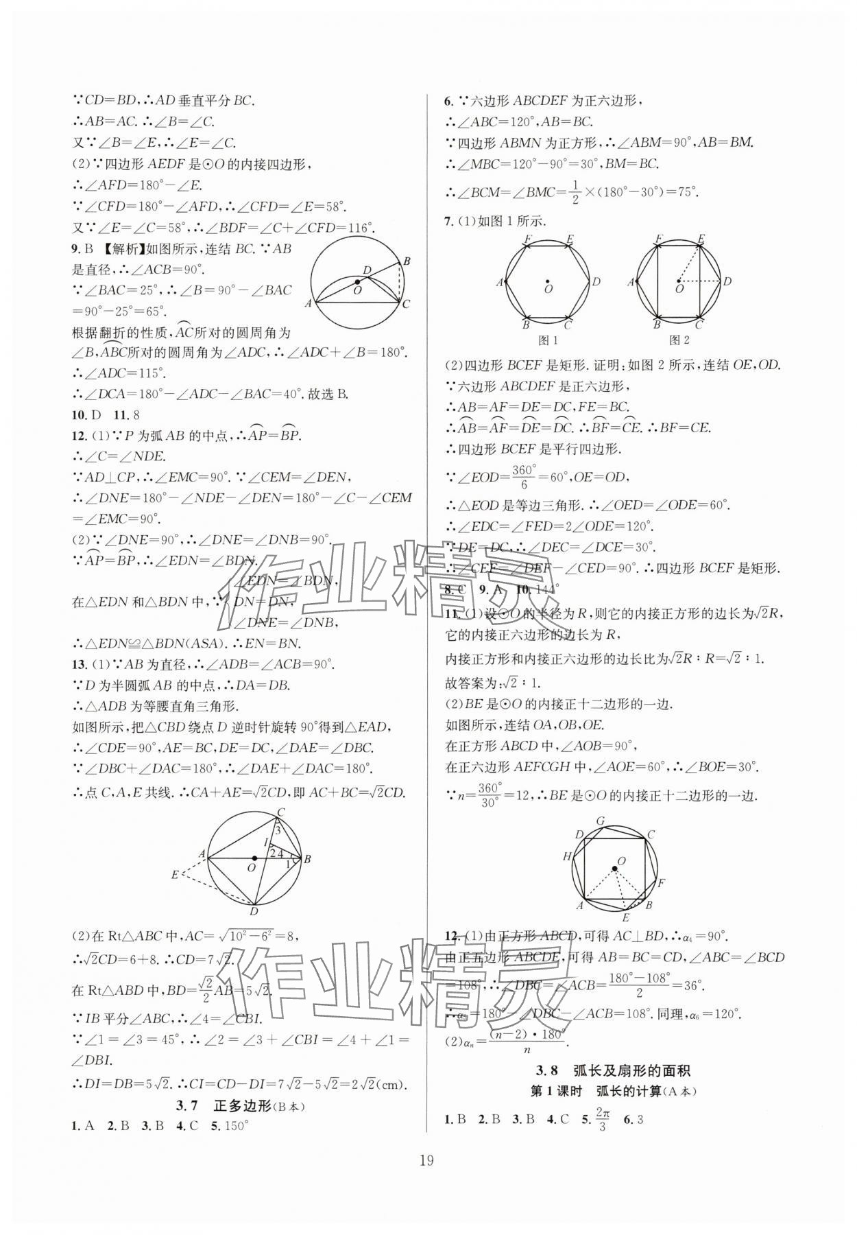 2024年全优新同步九年级数学全一册浙教版 参考答案第19页