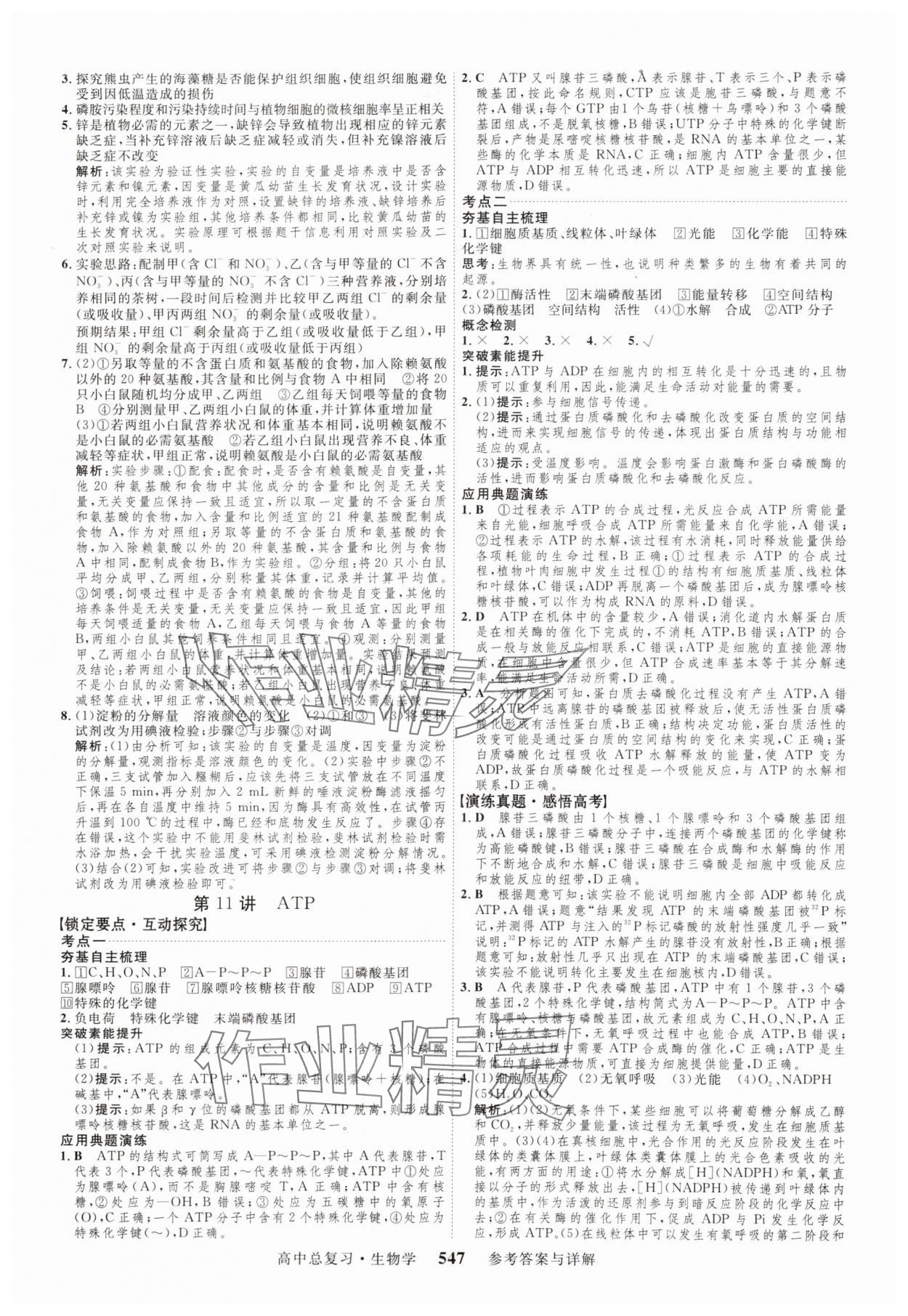 2024年三维设计生物 参考答案第11页