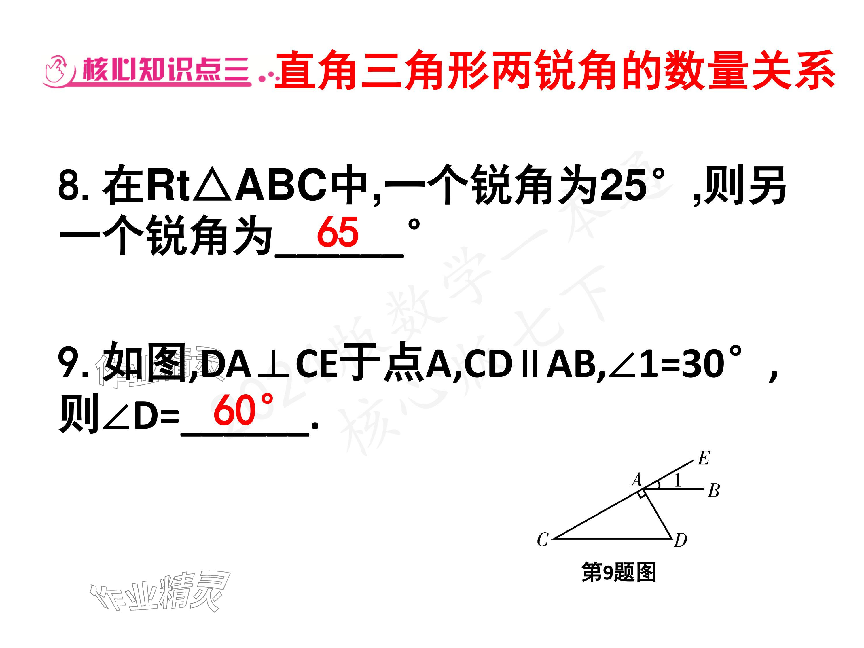 2024年一本通武汉出版社七年级数学下册北师大版 参考答案第7页