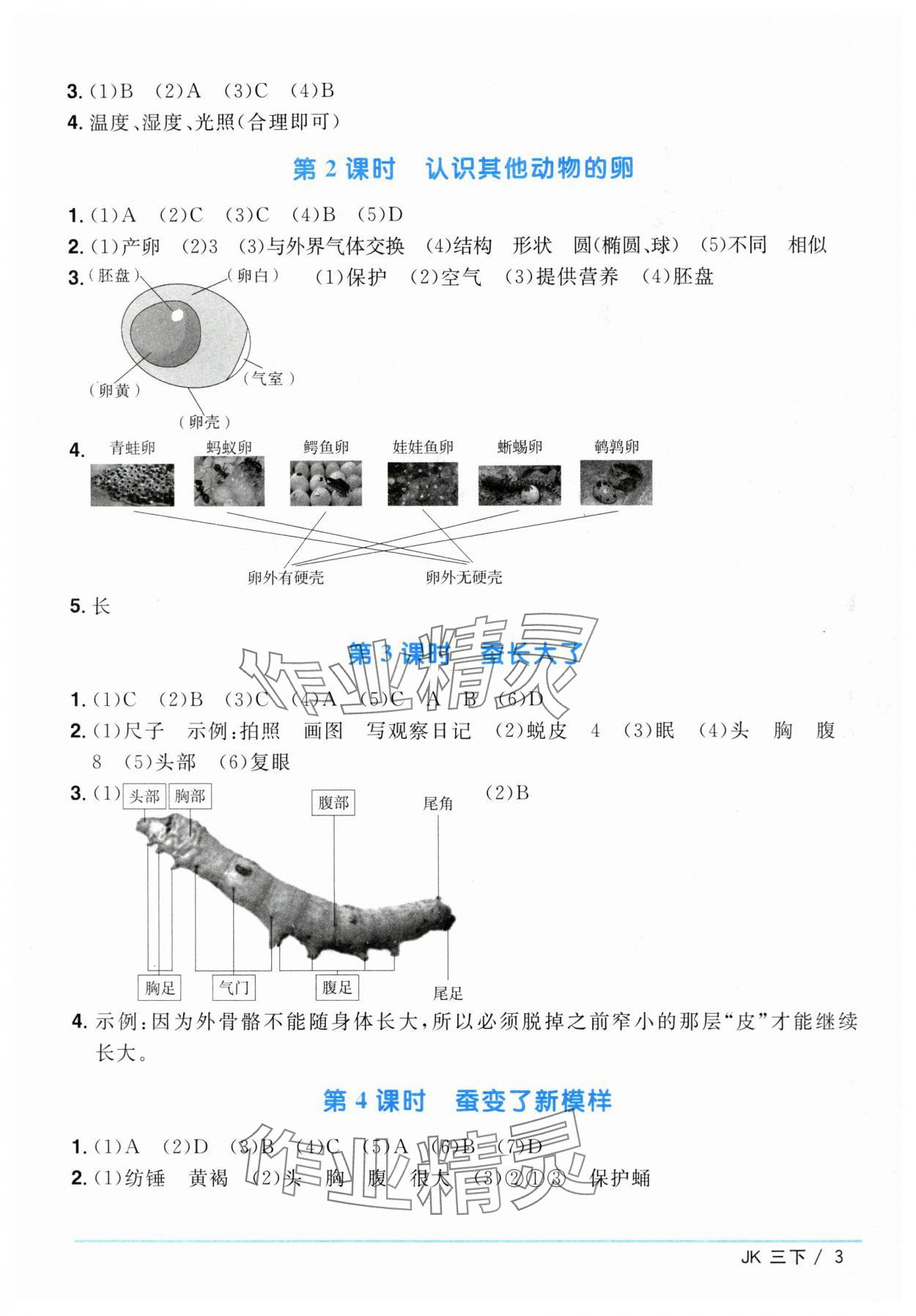 2024年阳光同学课时优化作业三年级科学下册教科版 第3页