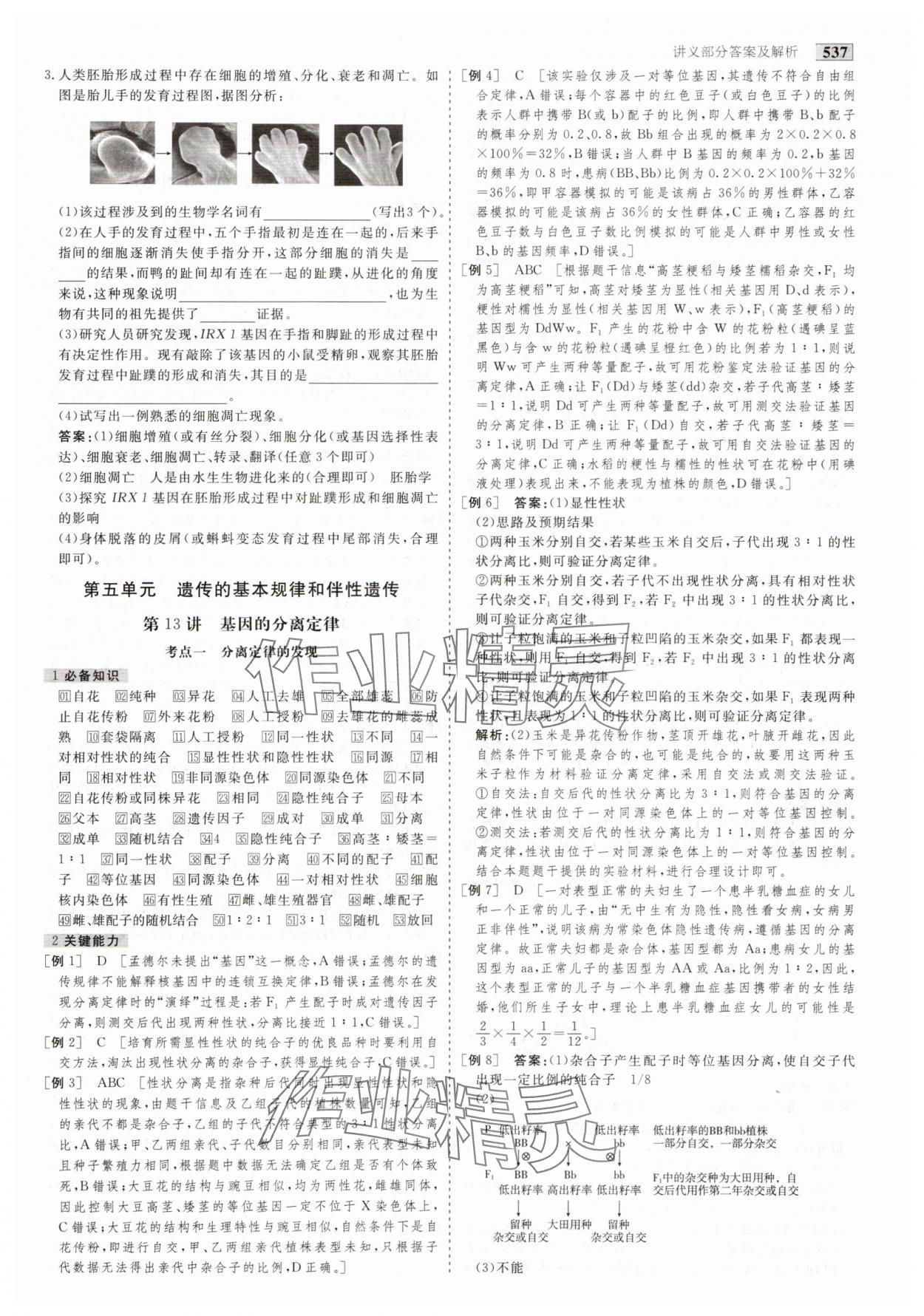2025年金版教程高考科學復習解決方案生物創(chuàng)新版 第23頁