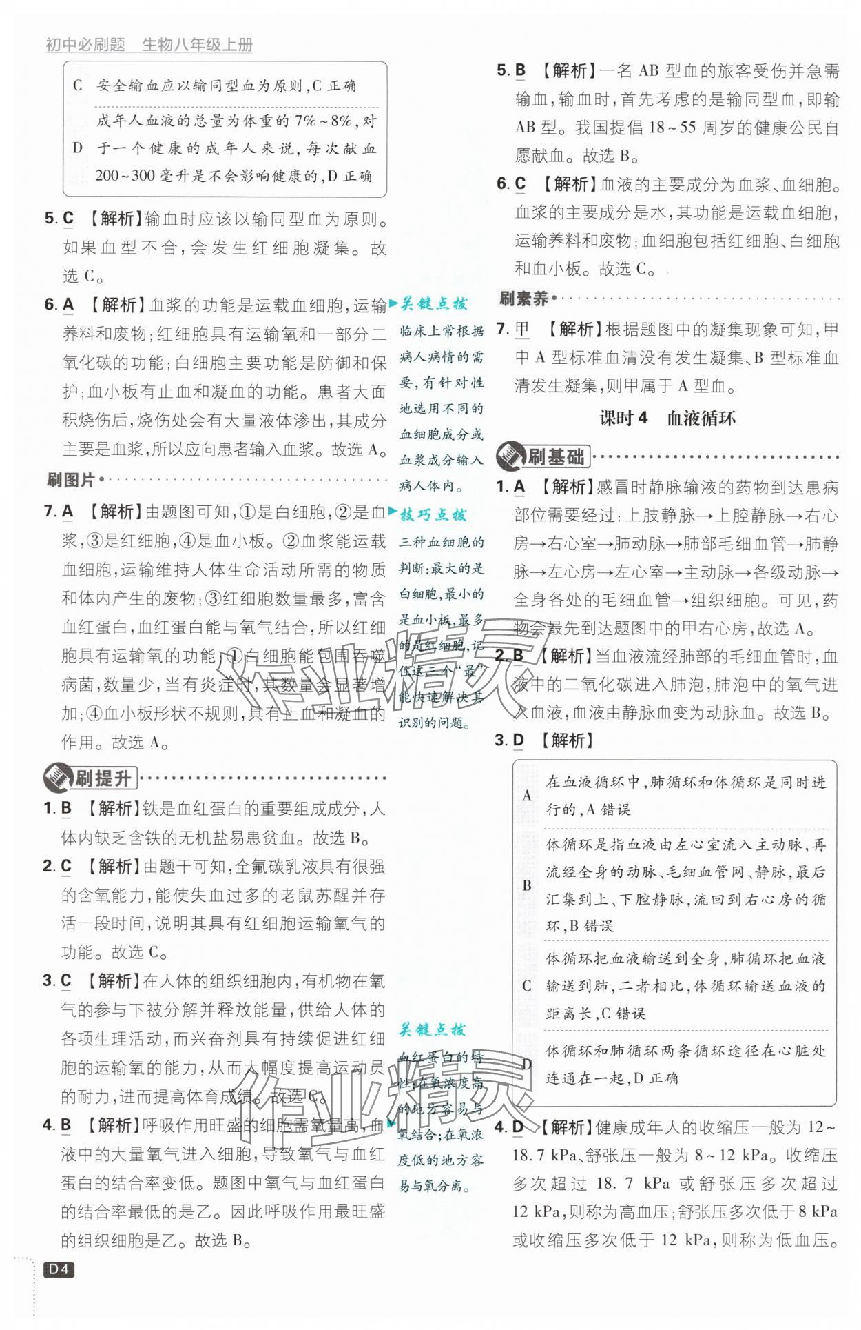 2024年初中必刷题八年级生物上册苏教版 第4页